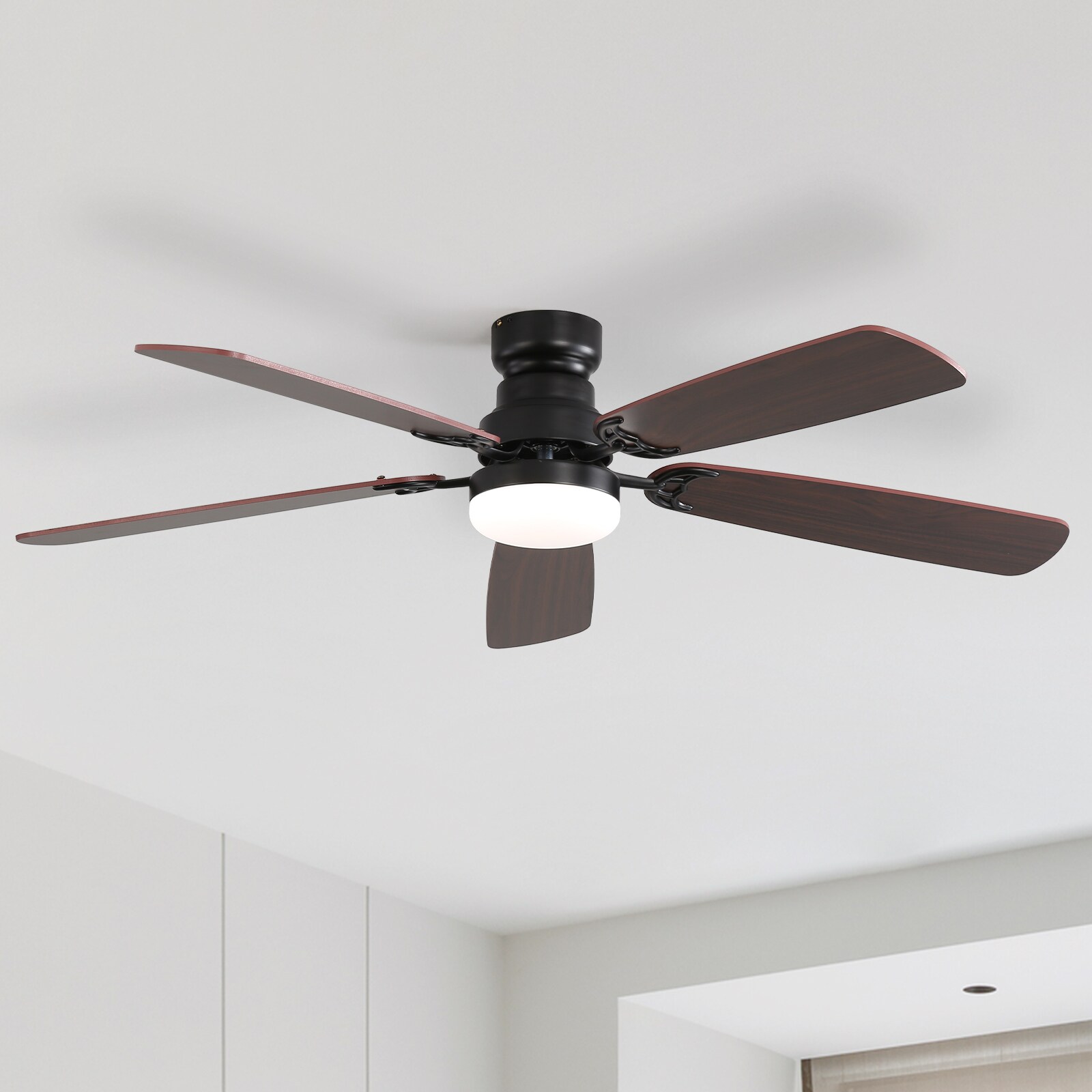 Sofucor C4-M-002883 Ceiling-Fans - View #15