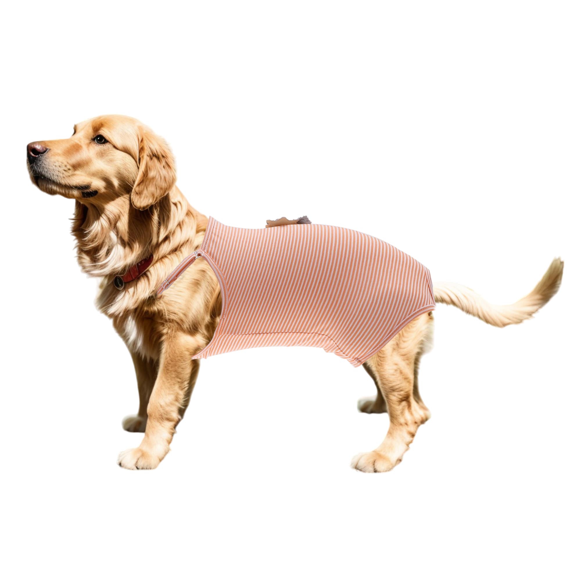 Unique Bargains Dog Diapers Physiological Pants with Adjustable Strap Jumpsuits Suspenders Washable Reusable for Small Medium Dogs Cats S Orange