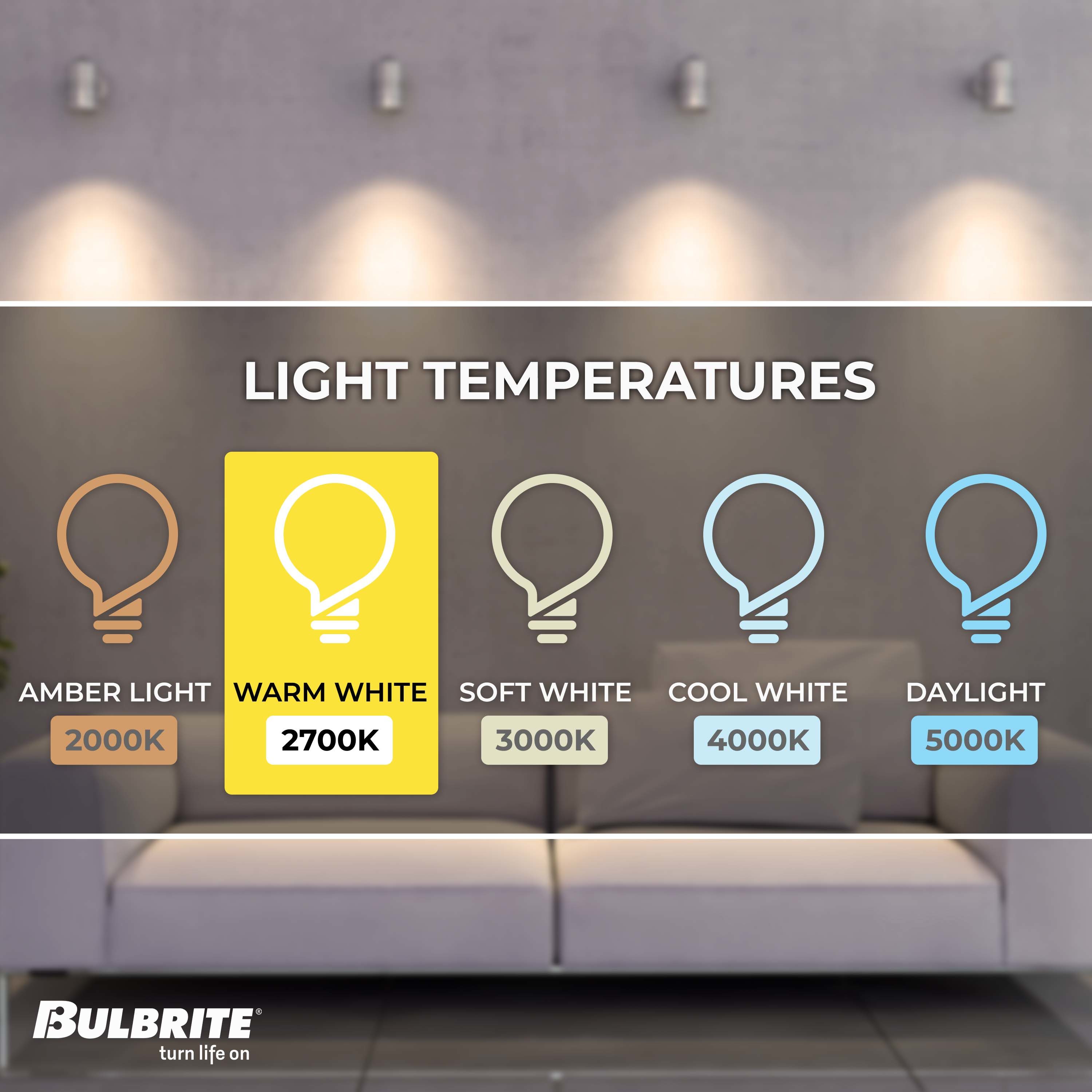 Bulbrite 60-Watt EQ T10 Warm White Medium Base (e-26) Dimmable ...