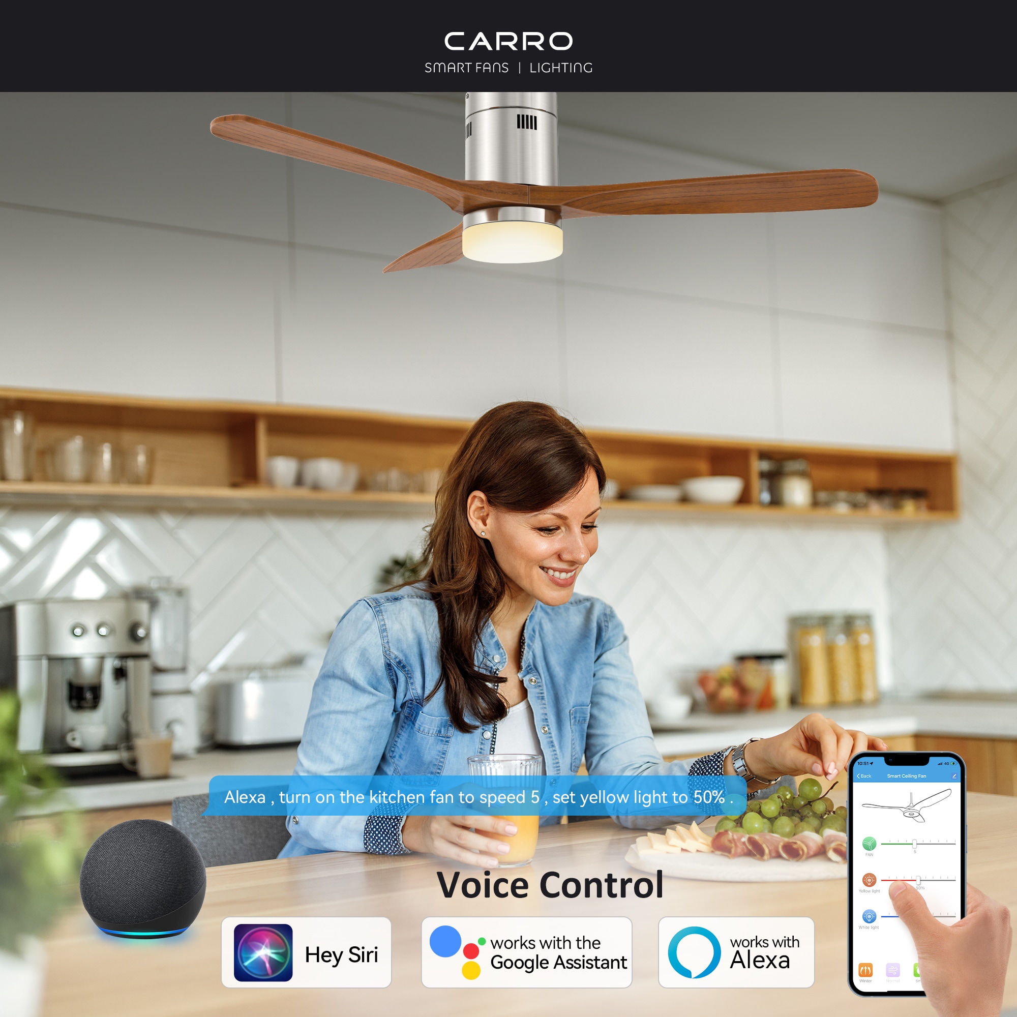 CARRO USA LS523P3-L12-SM2-1-FM Ceiling-Fans - View #2