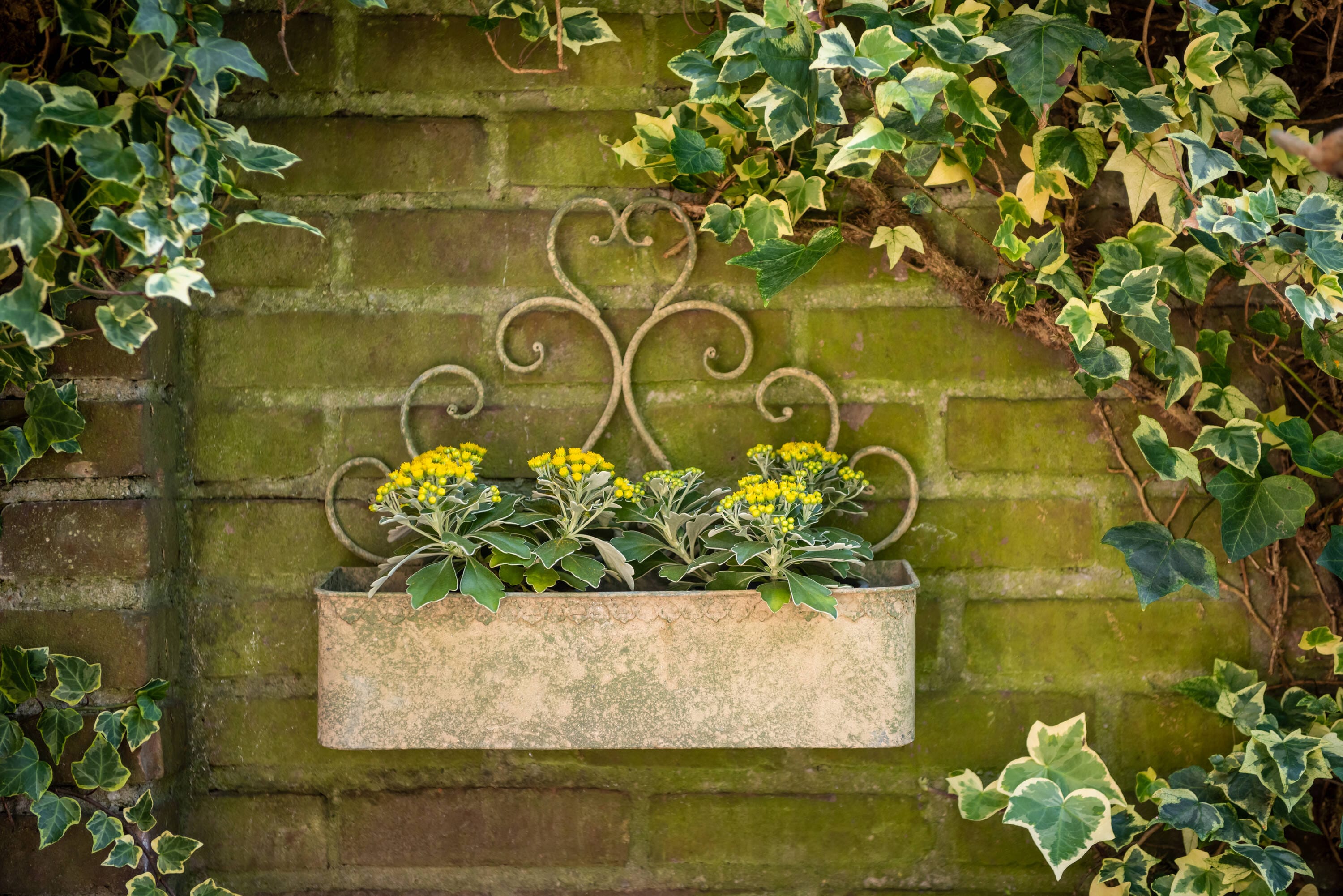 Esschert Design AM99 Planter-Window-Box - View #3