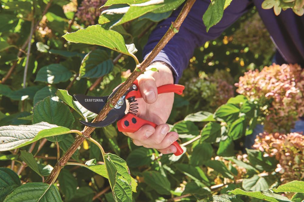 CRAFTSMAN Carbon Steel Bypass Hand Pruner With Adjustable Grip In The ...