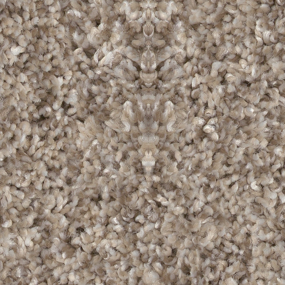 STAINMASTER 7L95000109 Pleasant Surprise II 12 Natural Brown 58.5-oz sq yard High-performance polyester Textured Indoor Carpet