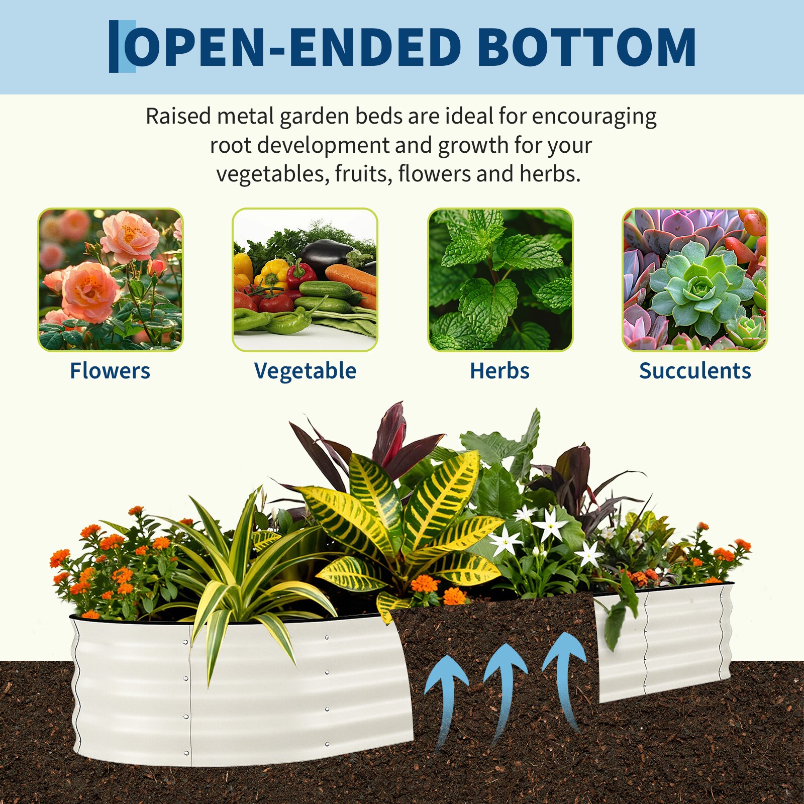 Encore Beets NOVA-W8SD4FG6HJ Raised-Garden-Beds - View #5