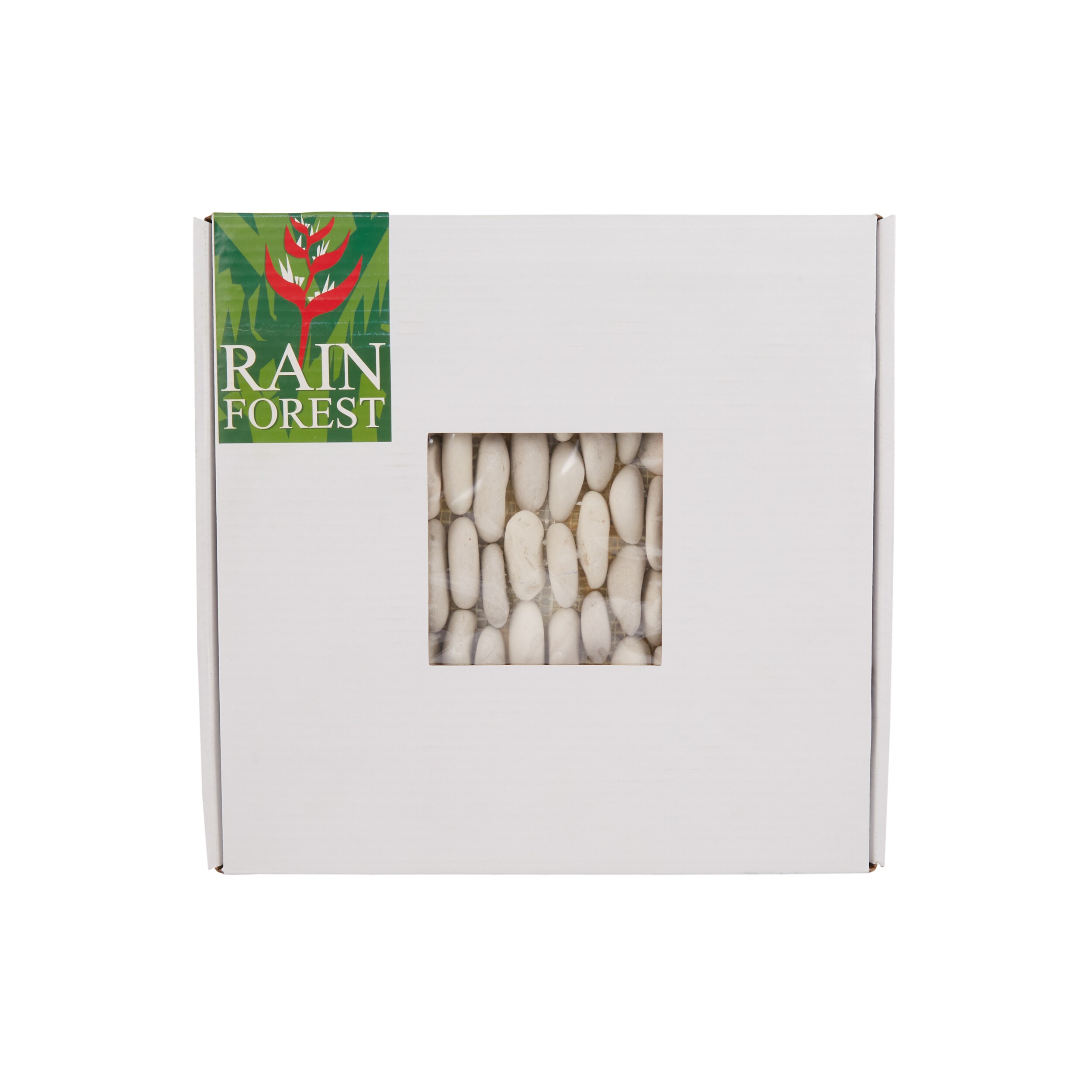 Rain Forest PT-SKWTE Ceramic-Tile - View #3
