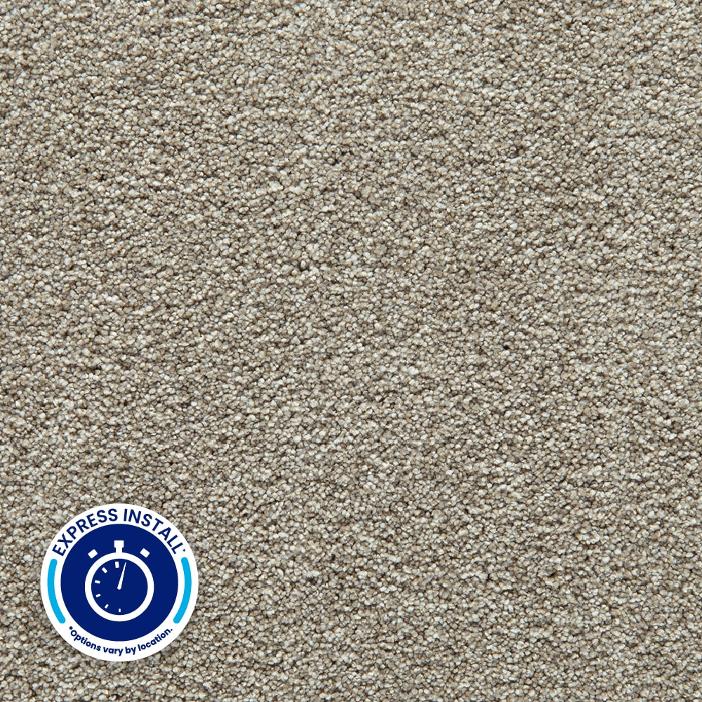STAINMASTER PetProtect with LeakDefense Comforting Coat II TAUPE SHADOW Brown 60-oz sq yard Polyester Textured Indoor Carpet
