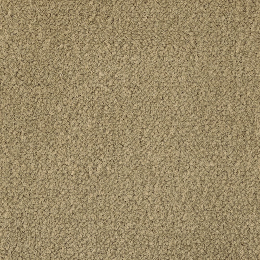 Mohawk Commercial Trend Influencer 36 Sandbox Tan 36-oz sq yard Nylon Pattern Commercial Indoor Carpet