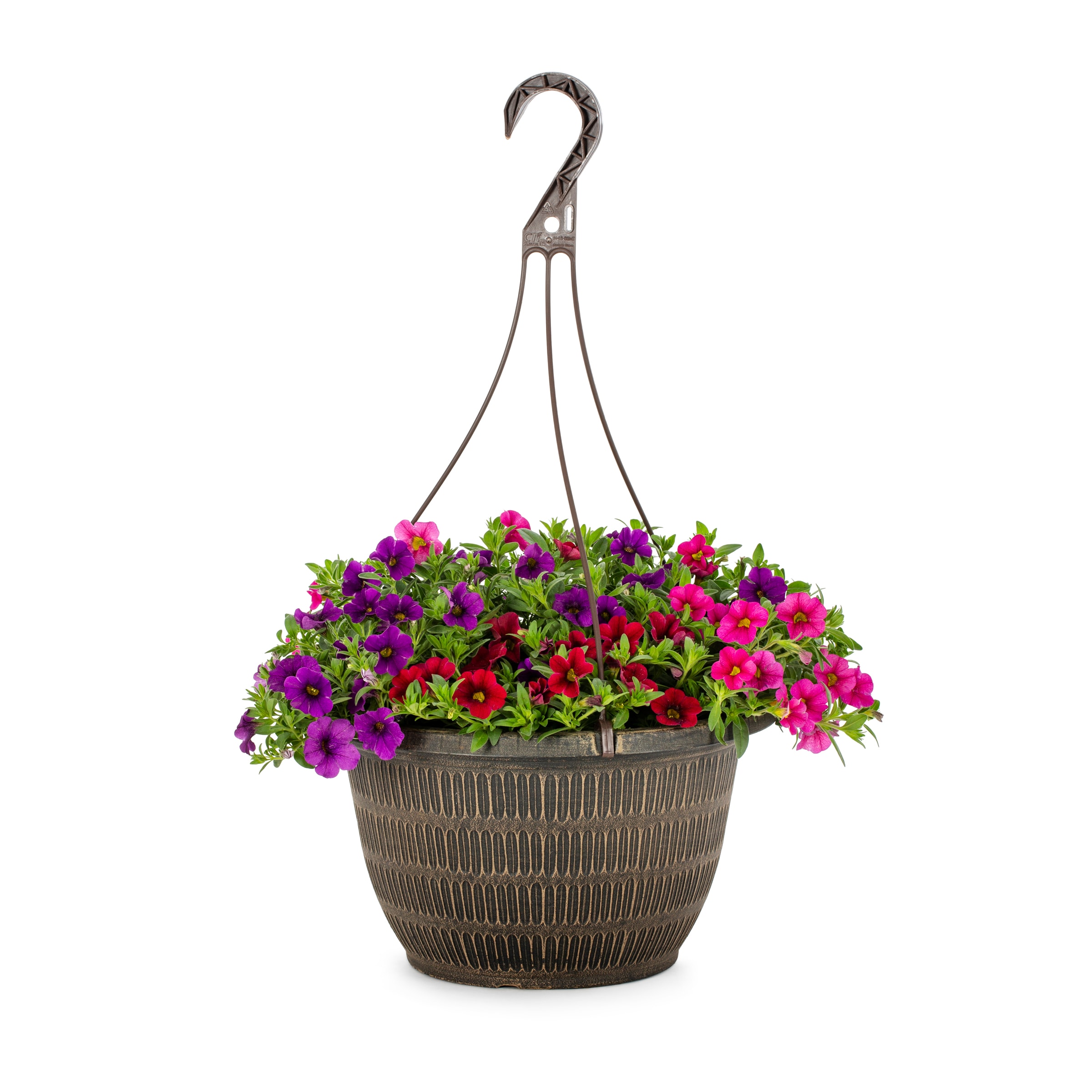 Lowe's Multicolor Calibrachoa in 2-Gallons Hanging Basket at Lowes.com