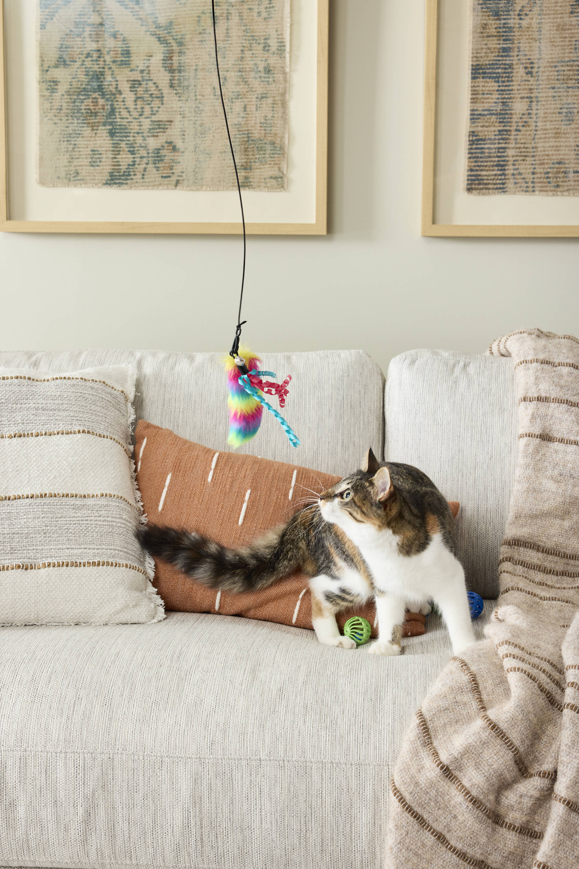 Heart & Herd YT2362 Dog-Toys - View #4