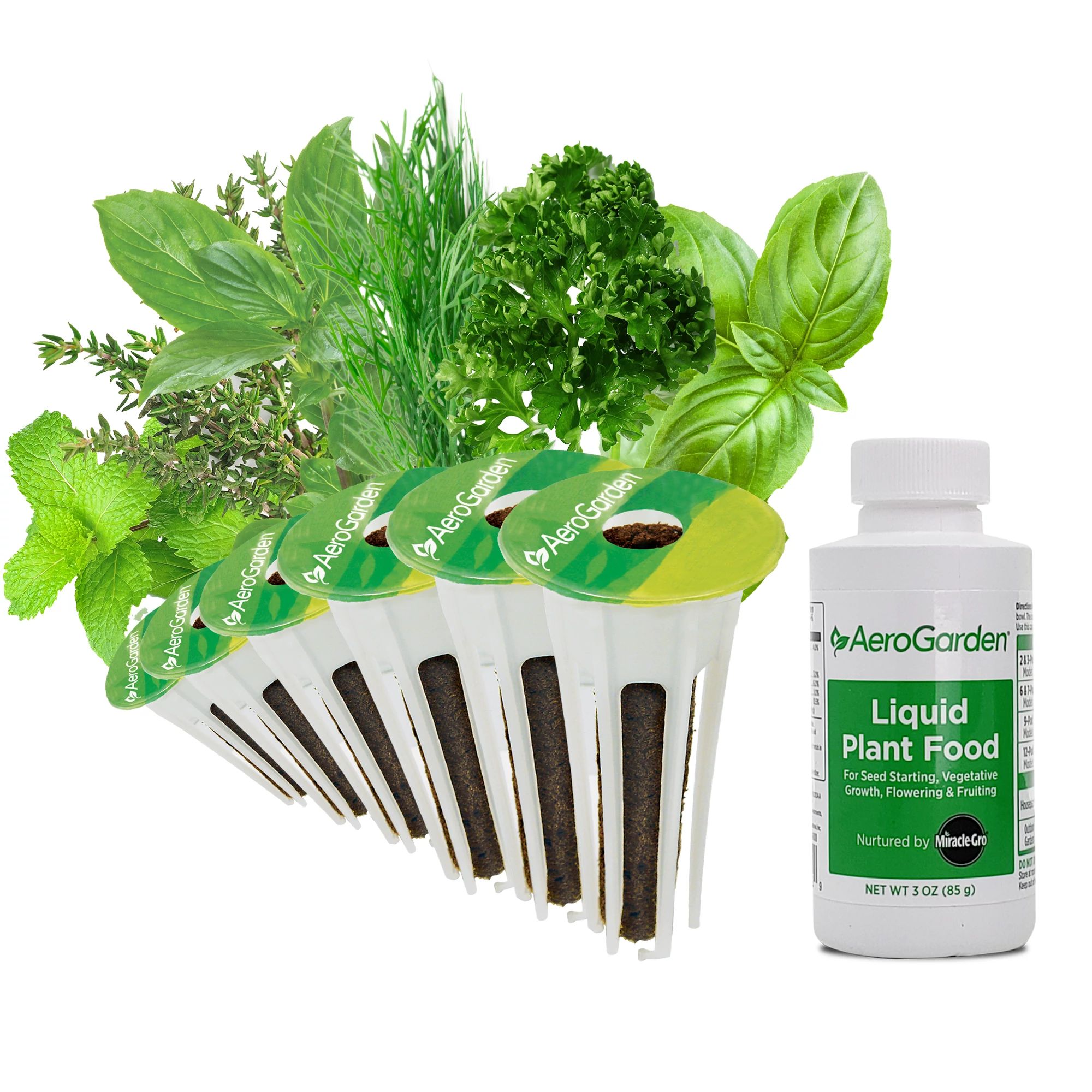 AeroGarden Gourmet Herb Seed Pod Kit 6-Count Planting/Growing Accessory at  Lowes.com