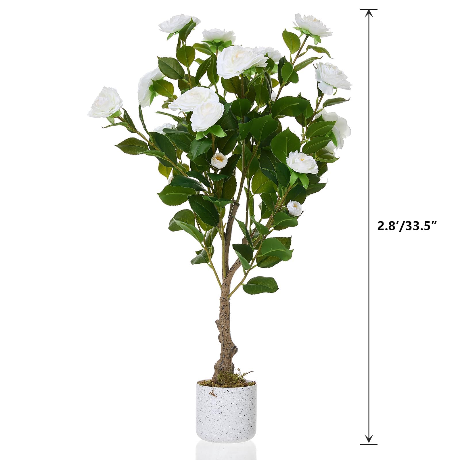 DEXSO ENCOREPHKBA5006 Artificial-Plants-Trees - View #5