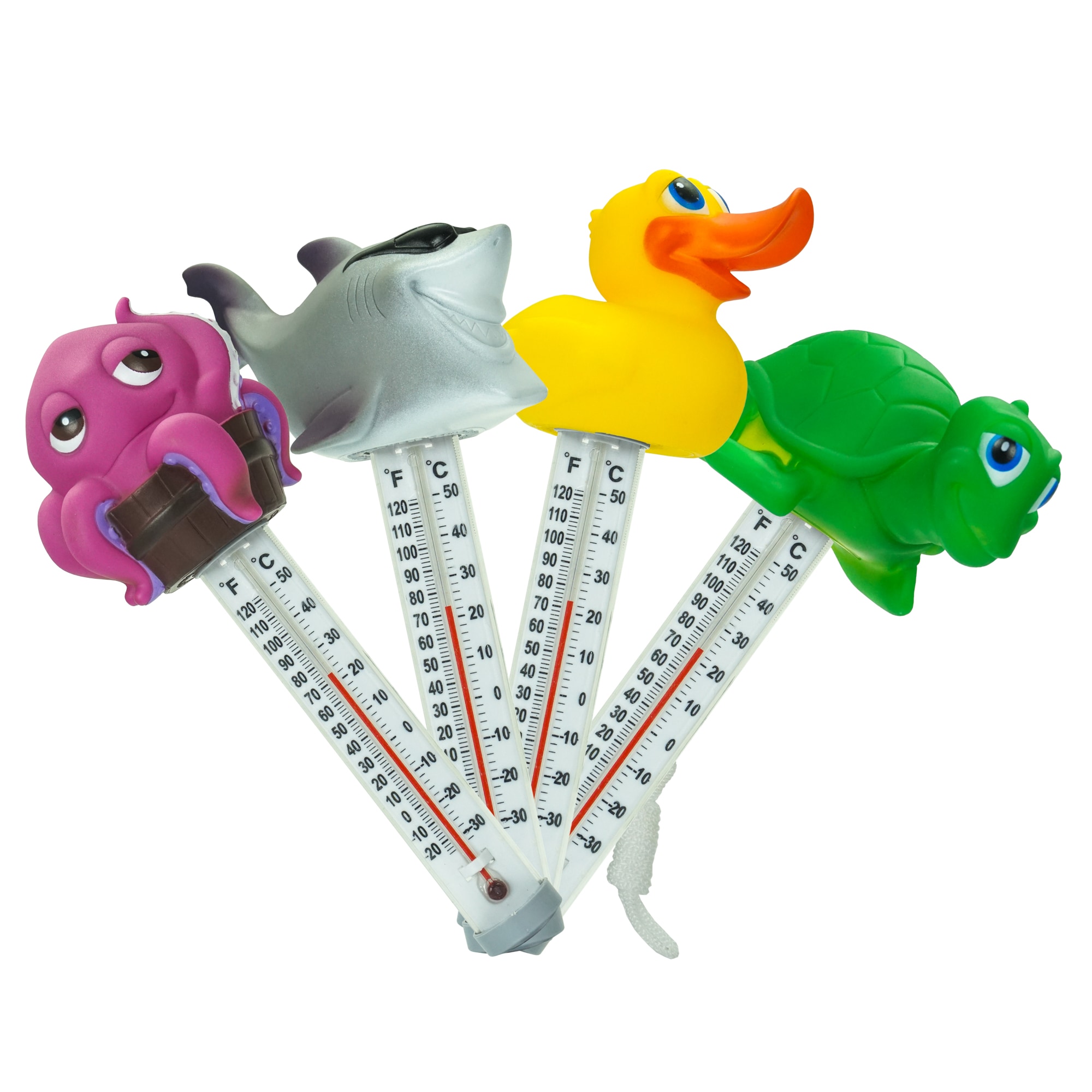 Floating Walrus Head Pool Thermometer