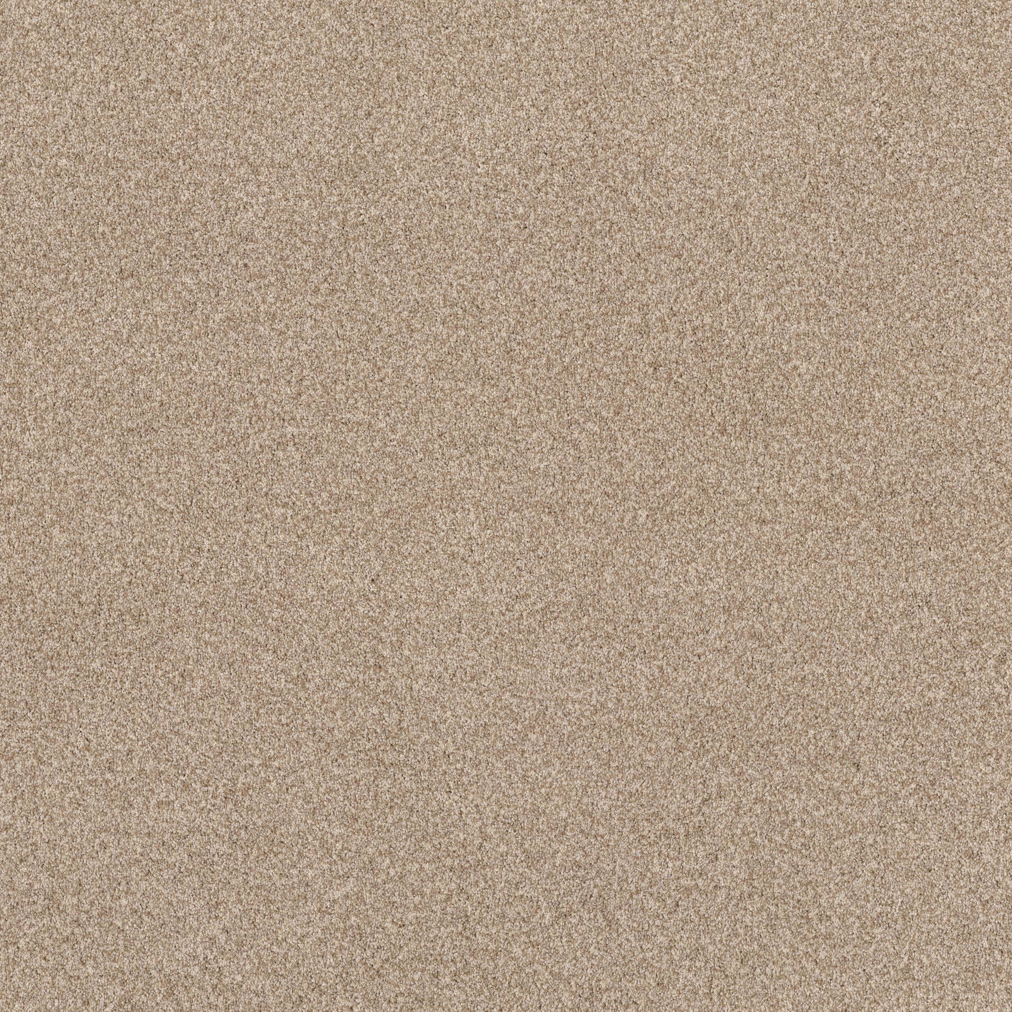STAINMASTER PetProtect Reverie II Beach Grass Textured Indoor Carpet in the  Carpet department at