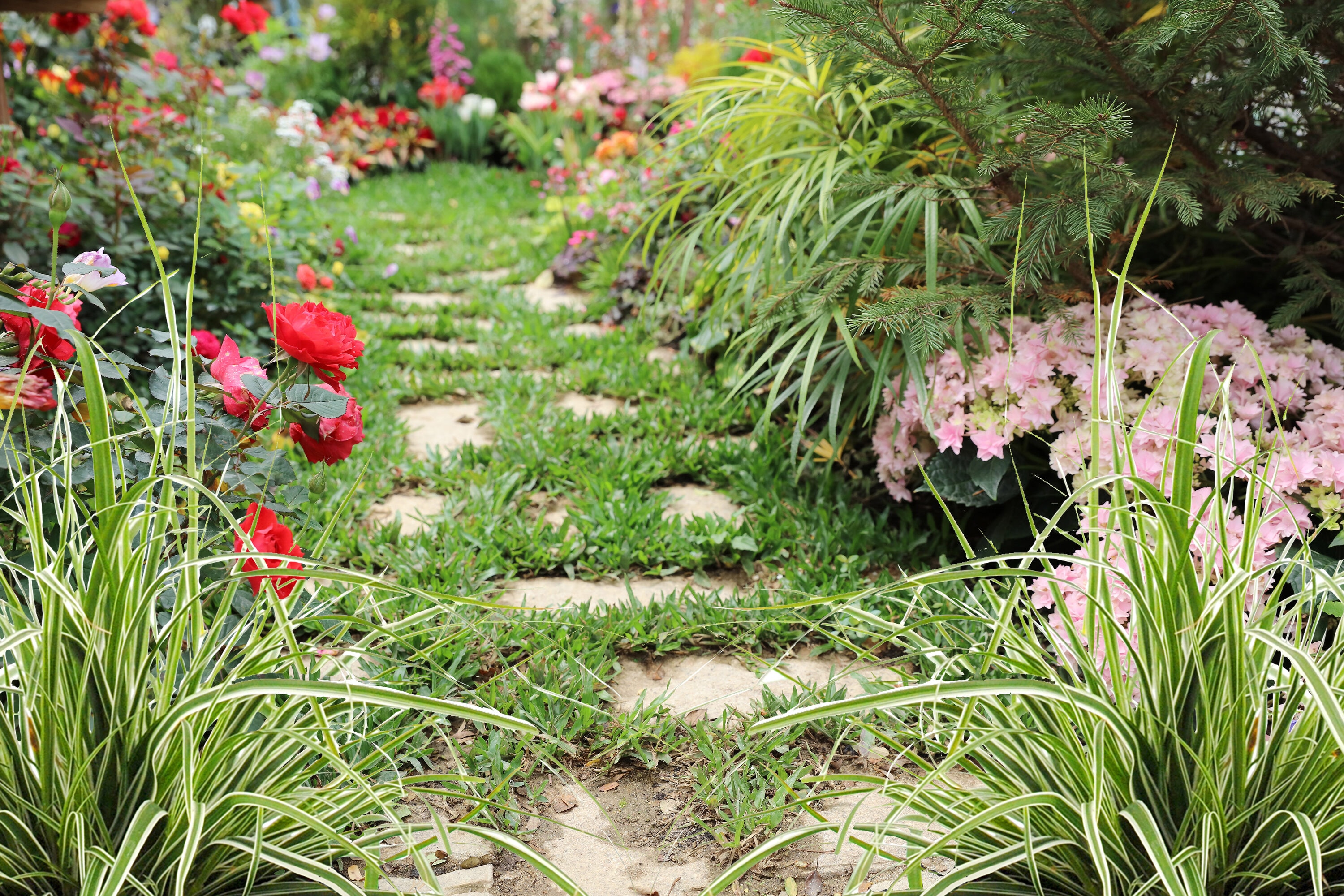  1450 perennials - View #7