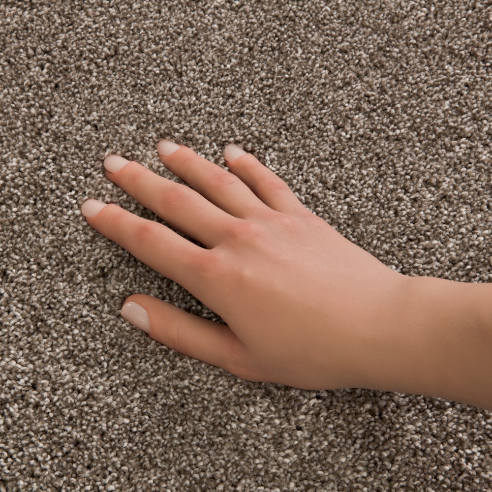 STAINMASTER PetProtect 7L99700721 Carpet-Panel - View #3