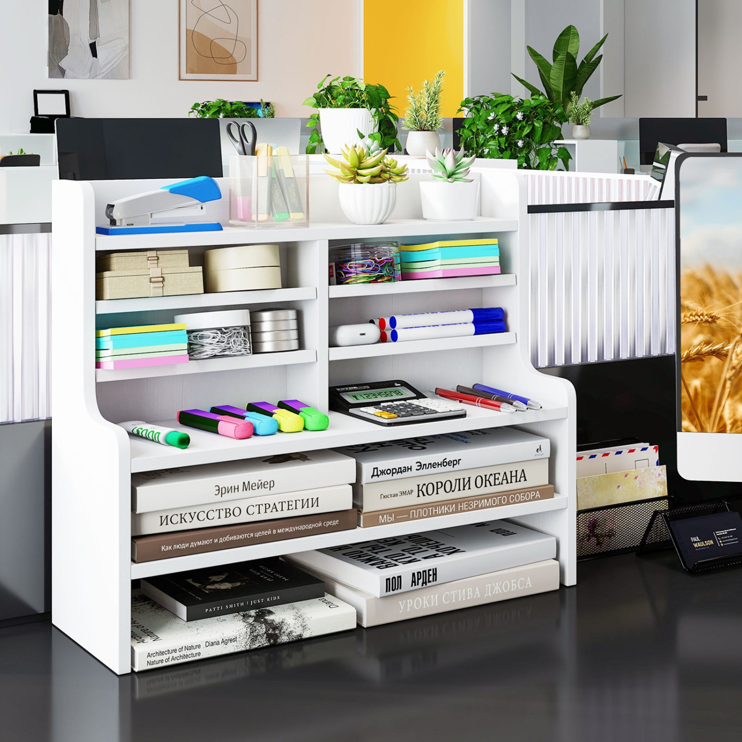 Boyel Living BLID2A000173933 bookcases - View #6