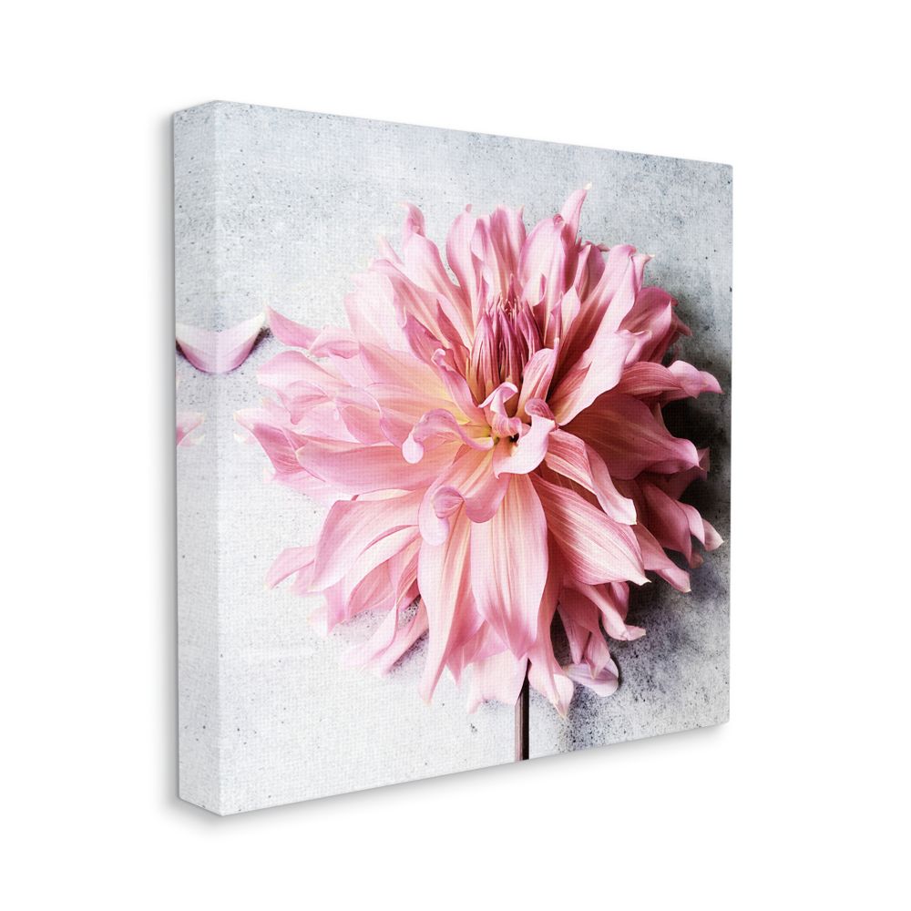 Pink Spring Floral with Curly Petal Details Sarah Jane 24-in H x 24-in W Floral Print on Canvas in White | - Stupell Industries AB-519-CN-24X24