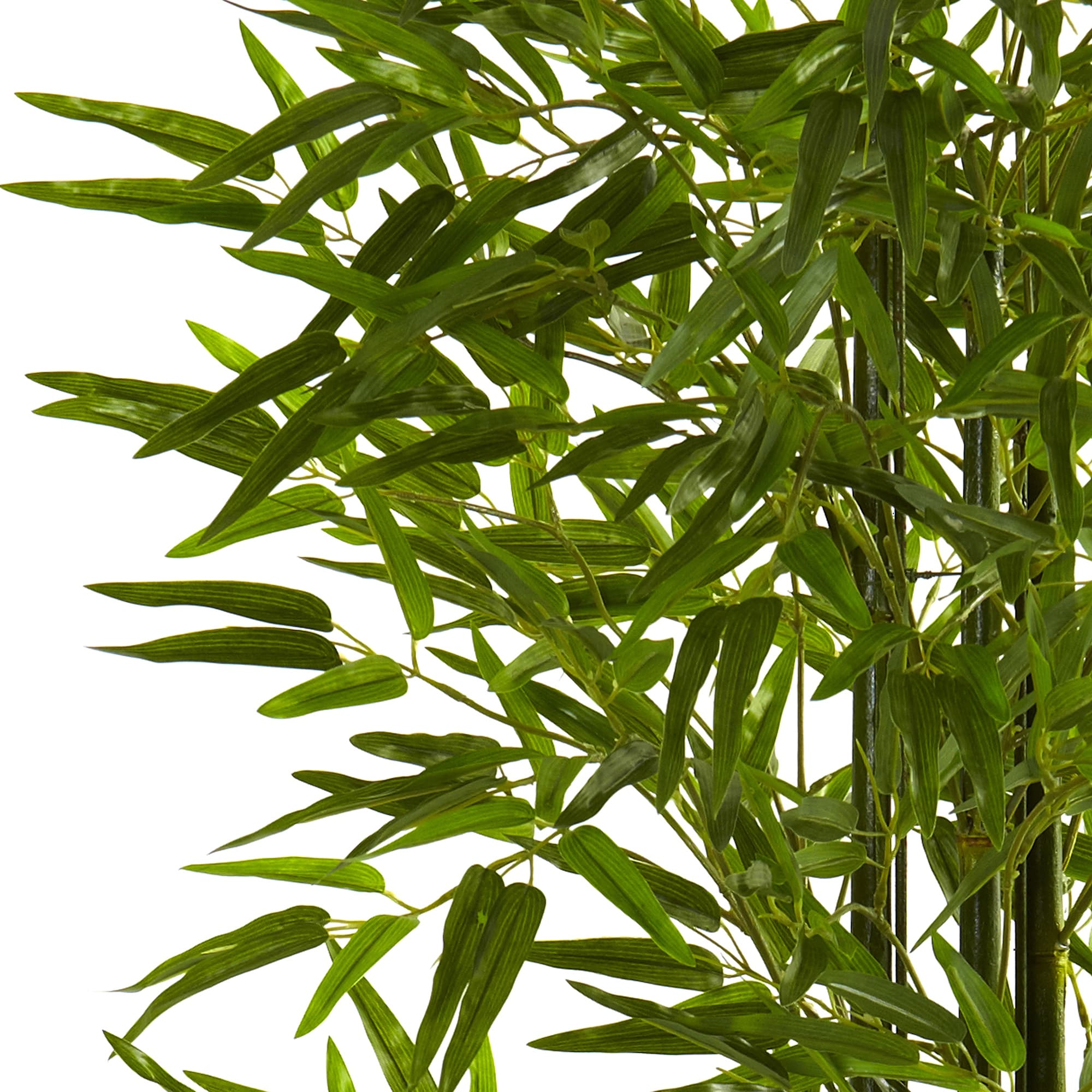 5ft Green UV Resistant Bamboo Tree in Black Plastic Pot