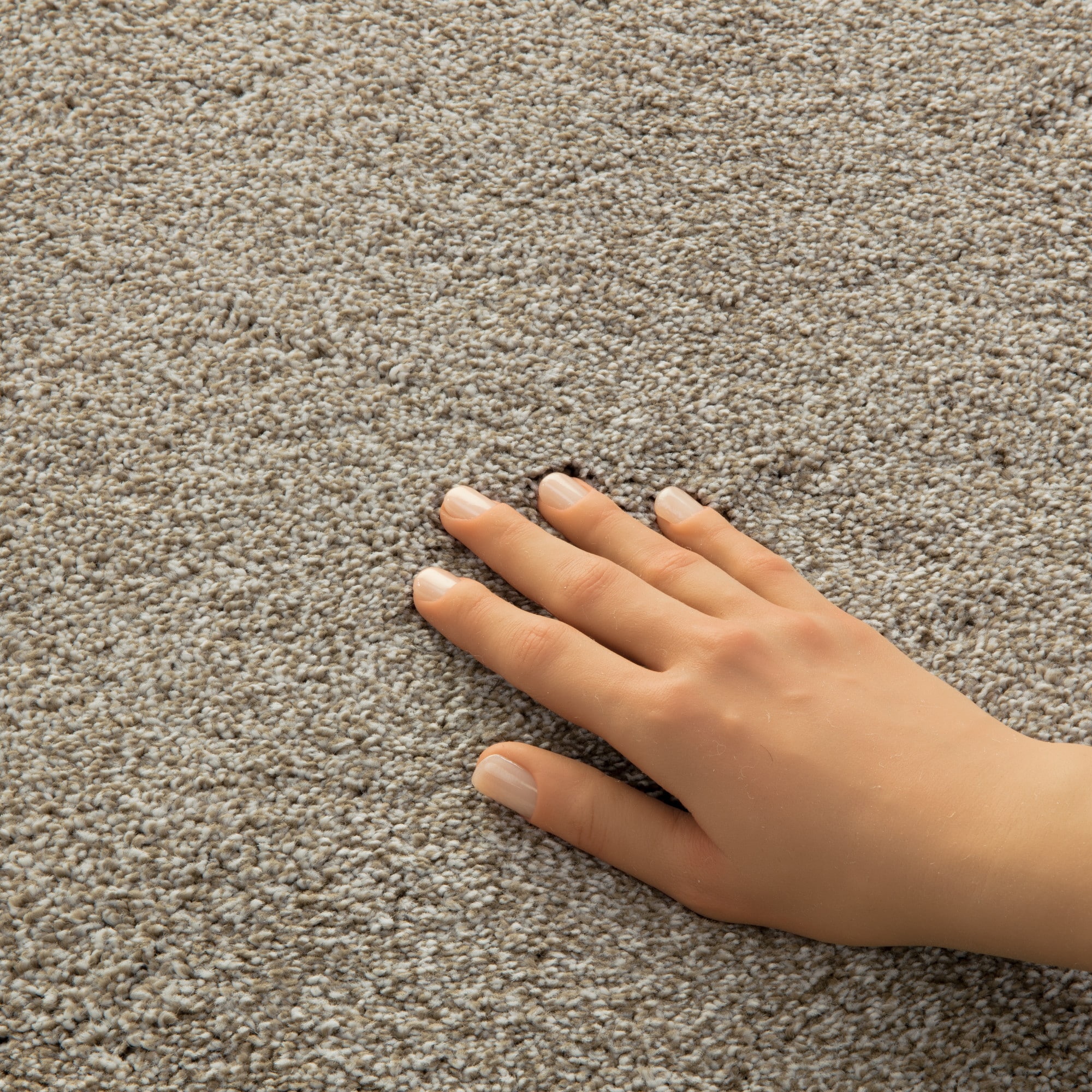 STAINMASTER PetProtect 7L92800734 Carpet-Panel - View #8