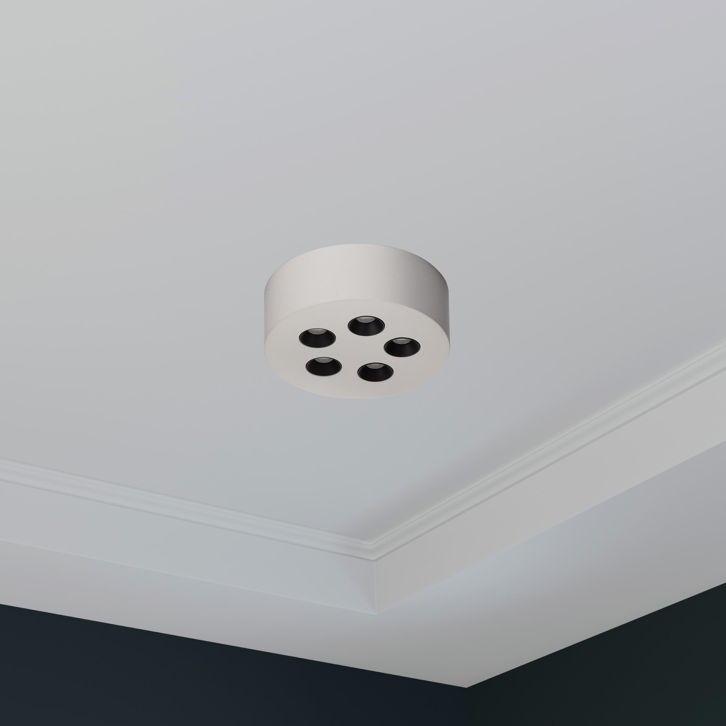 ET2 E25010-WT flushmounts - View #7