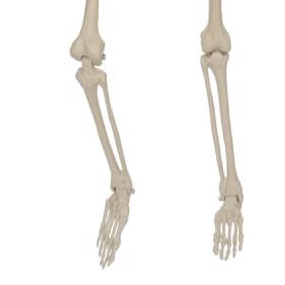Seasons W83343 Outdoor-Halloween-Decor - View #3