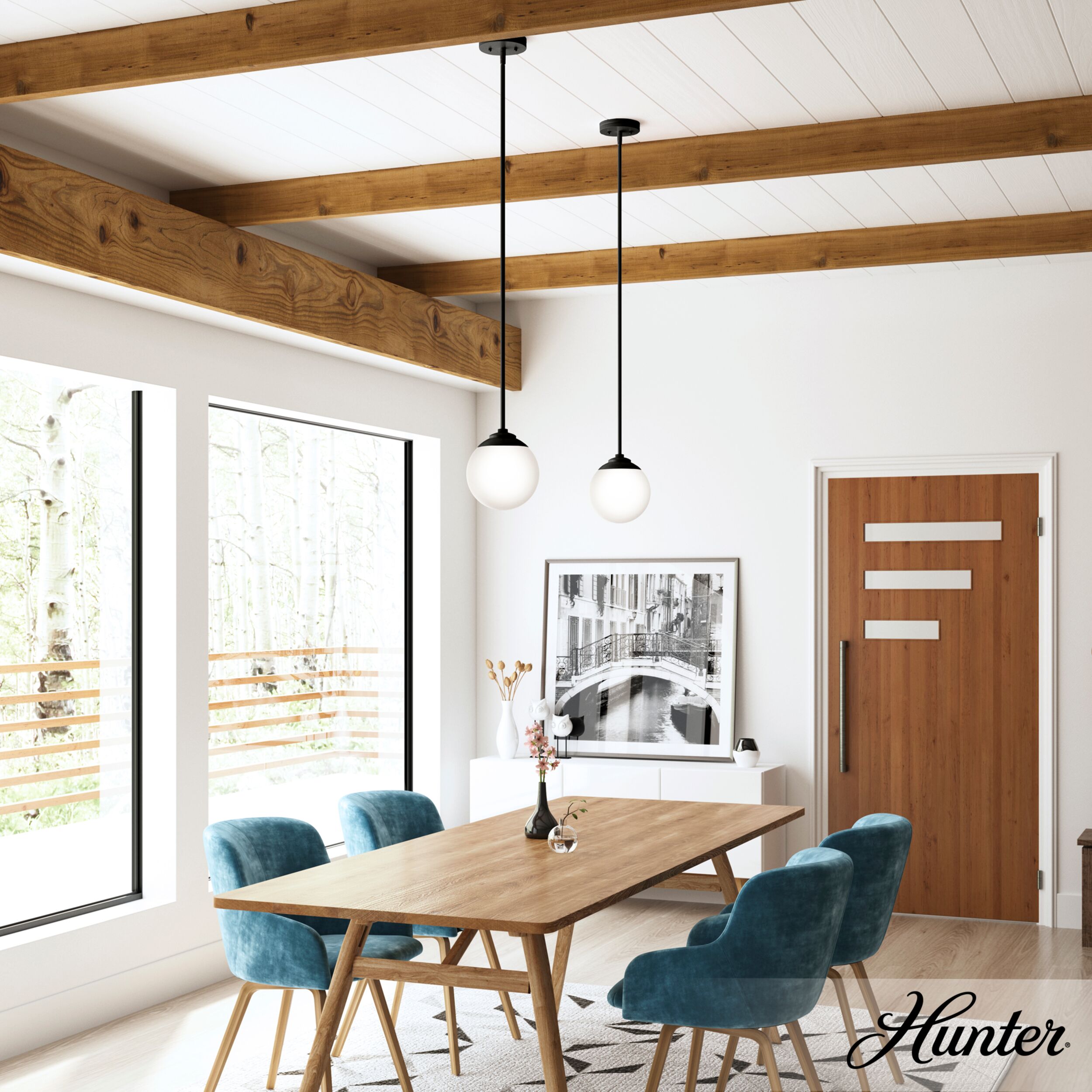 Hunter 19871 Pendant-Lights - View #2