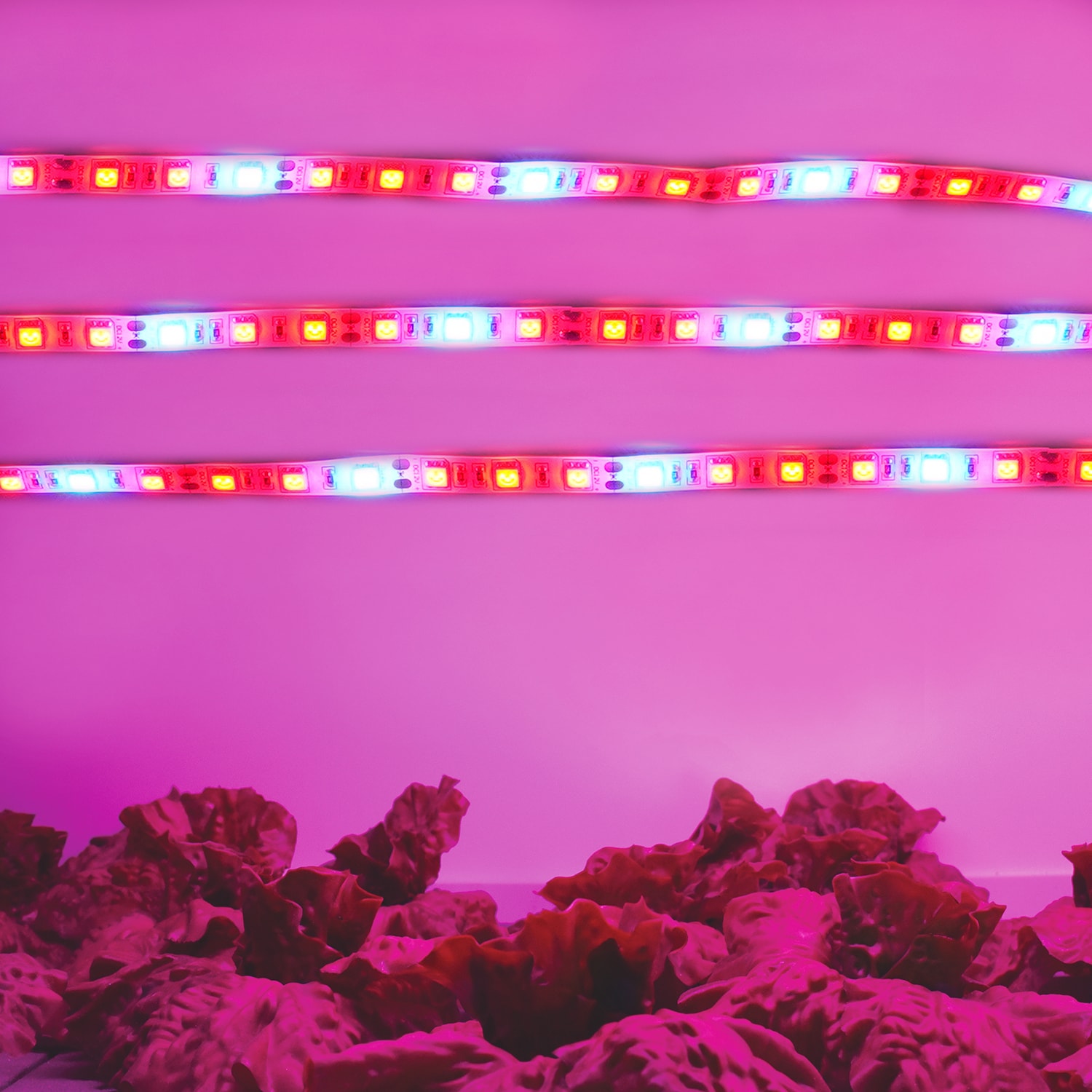 Utilitech Z-TPL-GR12 Grow-Lights - View #10