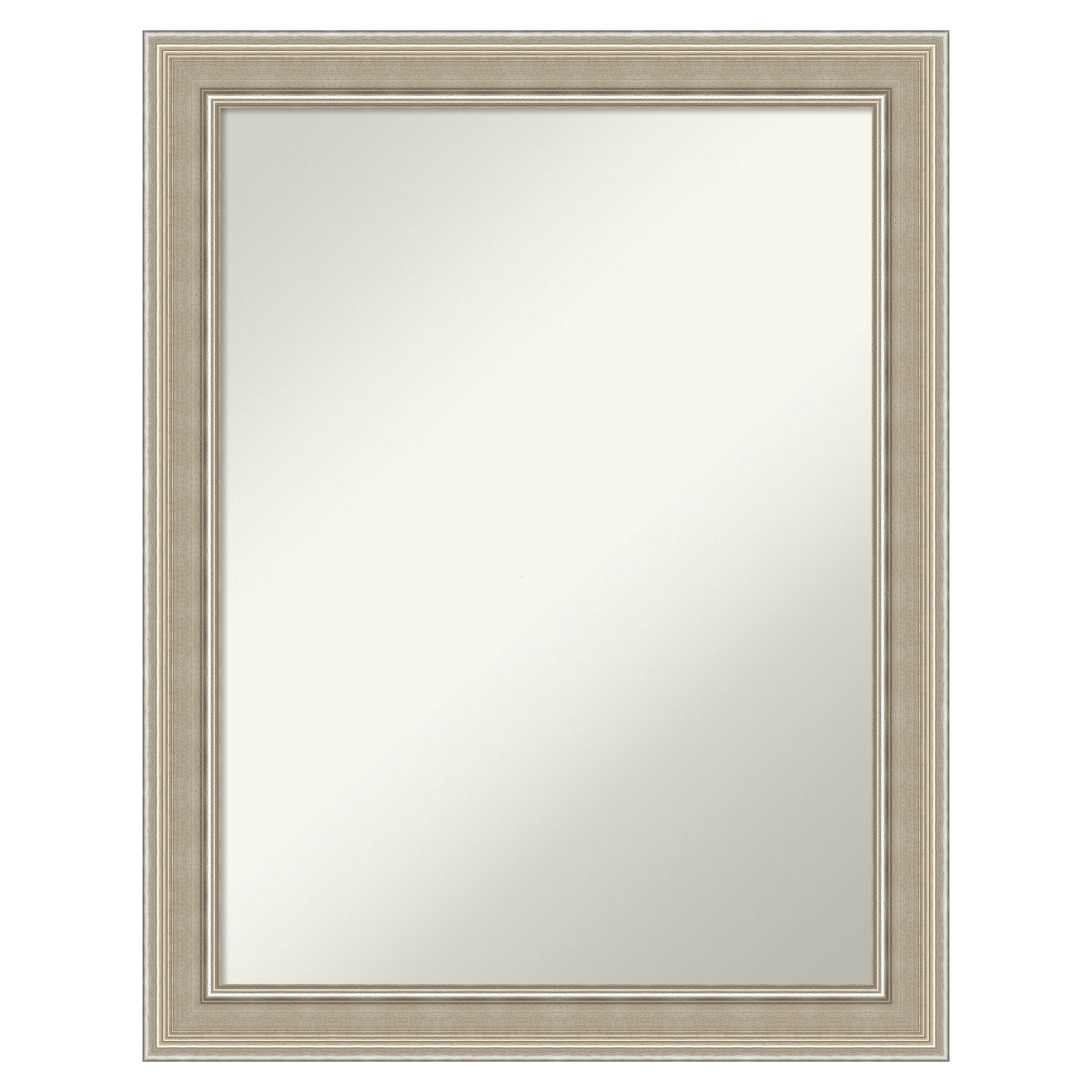 Amanti Art Mezzo Silver Frame 21.5-in W x 27.5-in H Mezzo Silver