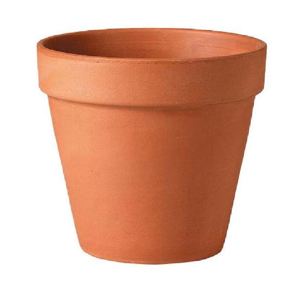 8 Standard Terra Cotta Clay Pot – Corso's Flower & Garden Center