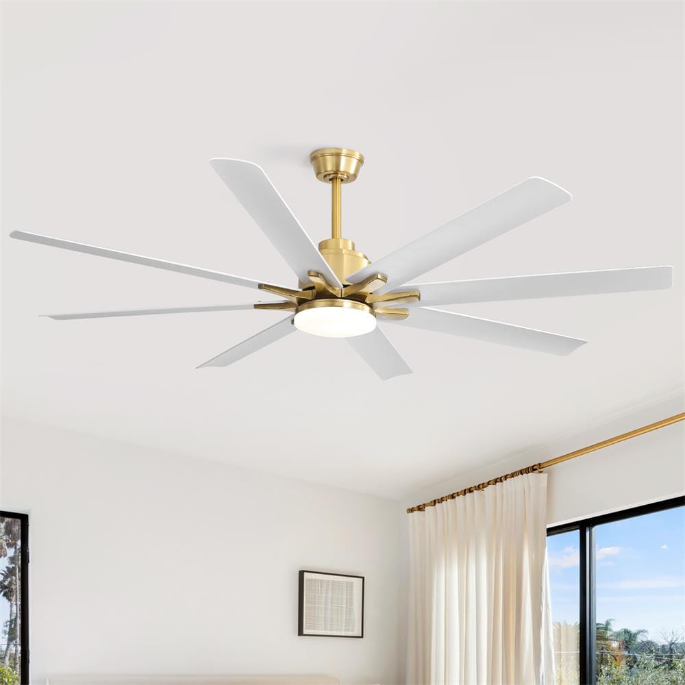 Sofucor LW-66K002SMTY-BG Ceiling-Fans - View #3