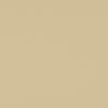 Vibrant French Gold