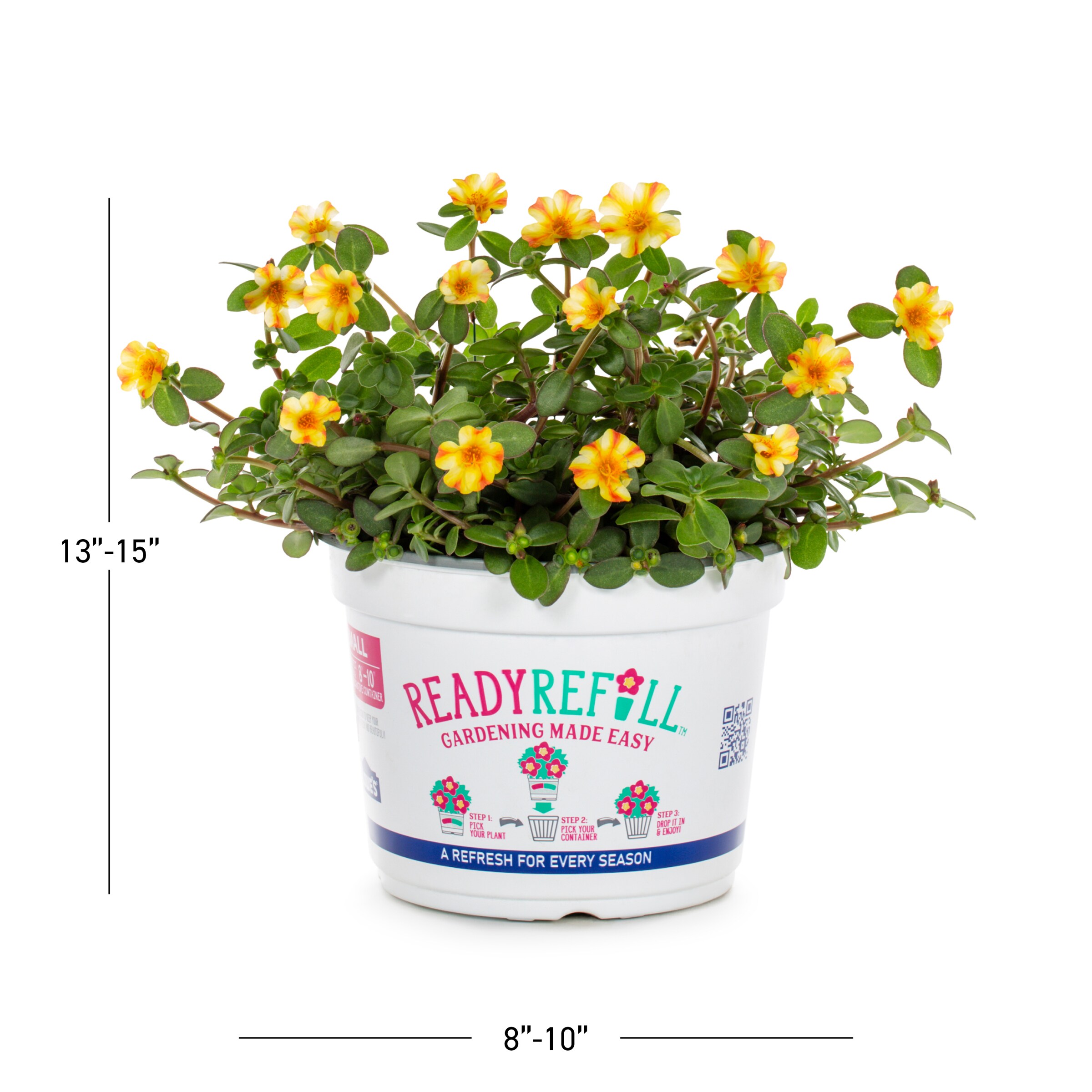 Ready Refill NURSERY annuals - View #3