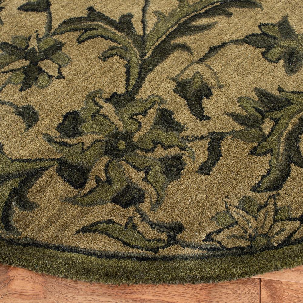 Safavieh AT824A-6R rugs - View #3