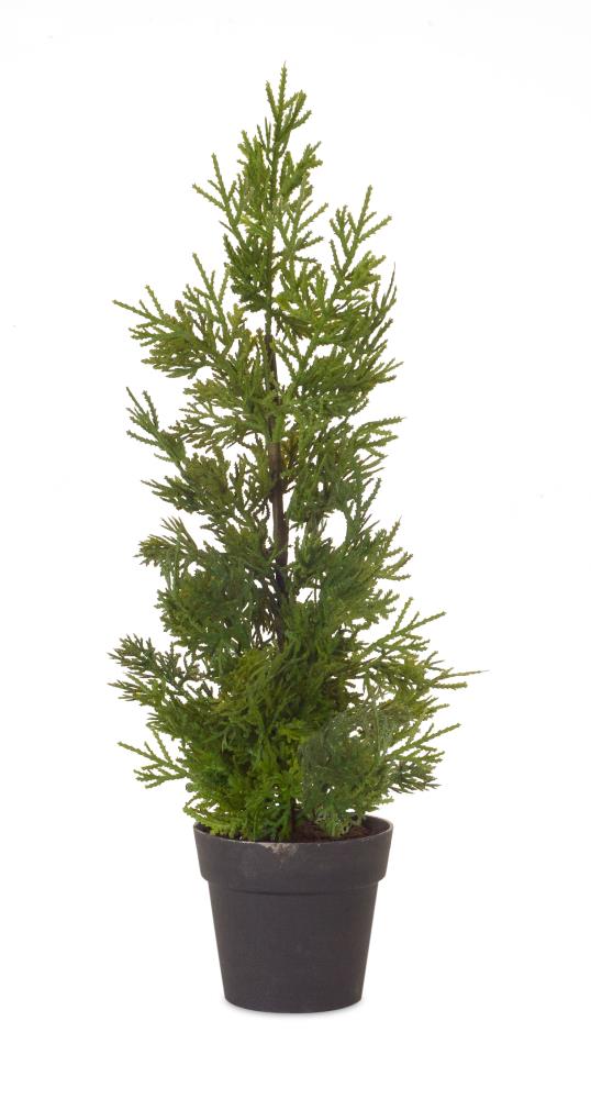 Melrose International 76706DS 18-in Green and Black Indoor Pine Trees