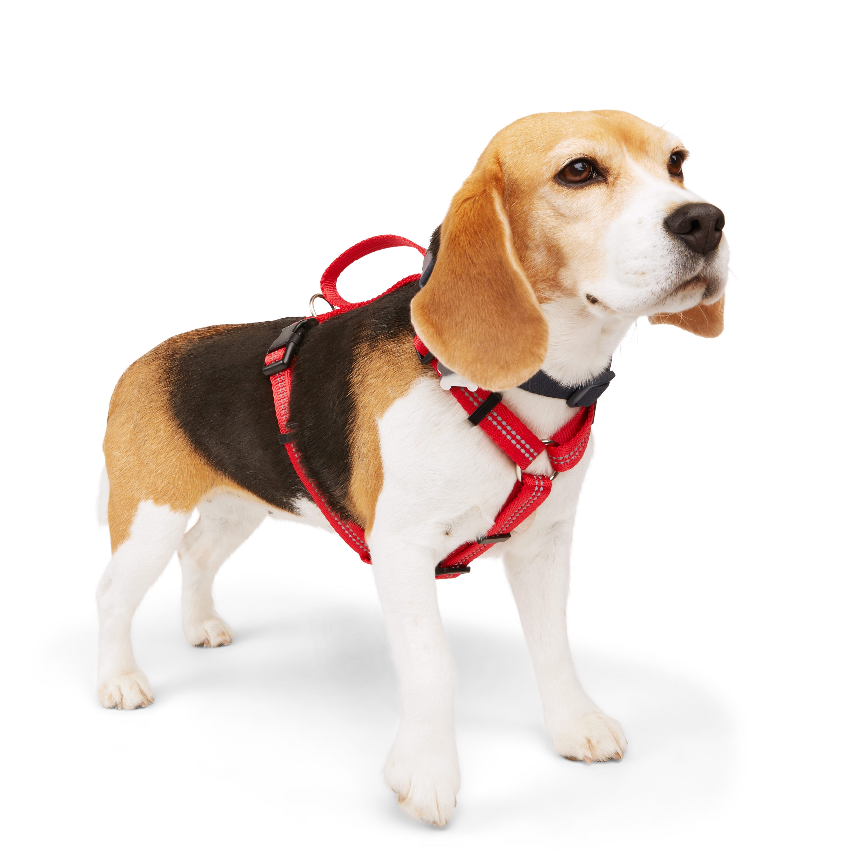 Youly Reflective Red Dog Harness, Medium in the Pet Collars & Harnesses ...