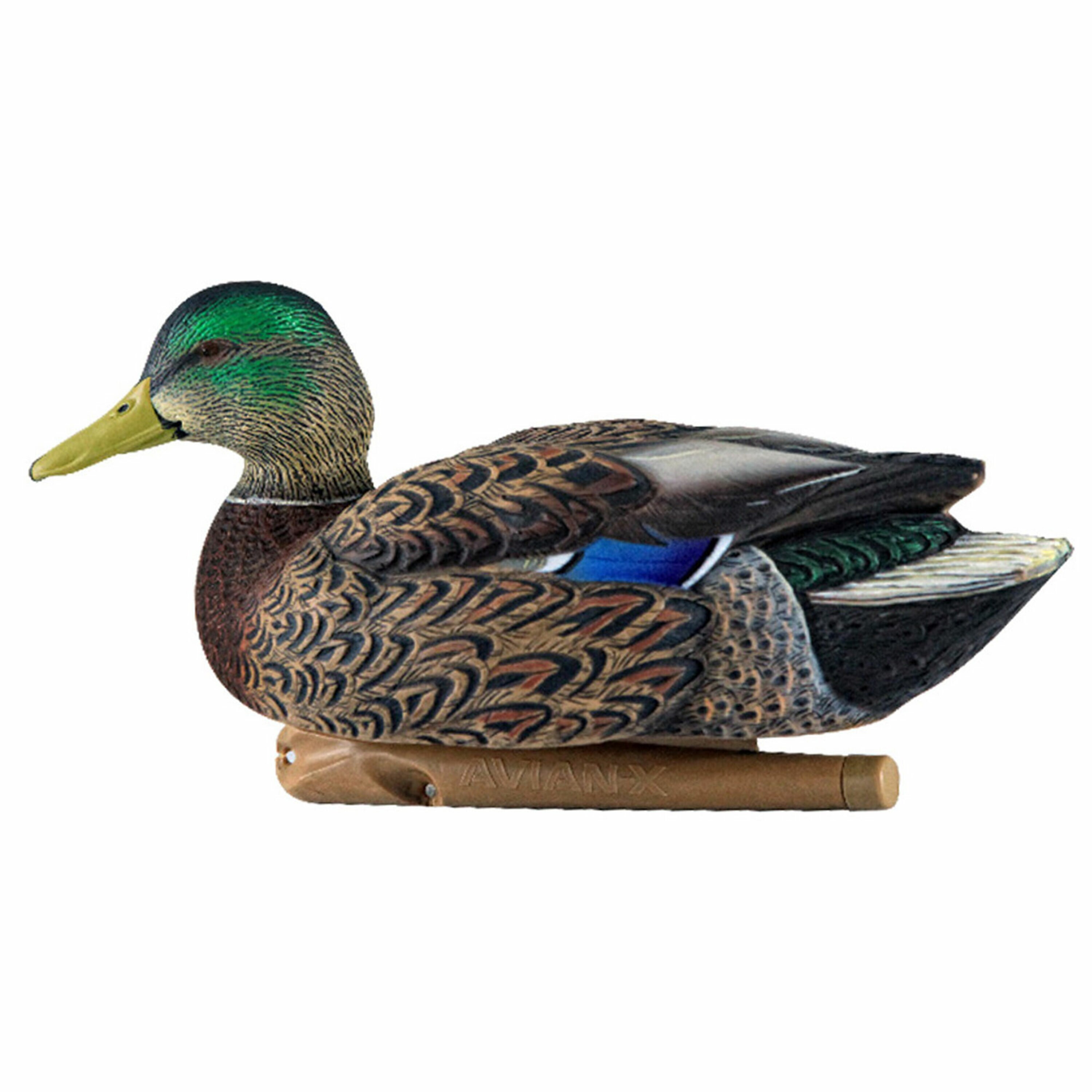  Avian X 399261 Hunting-Equipment - View #8