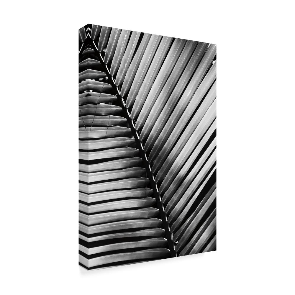 Trademark Fine Art WAP06649-C1624GG Wall-Art - View #2