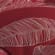 Red Leaf Palm