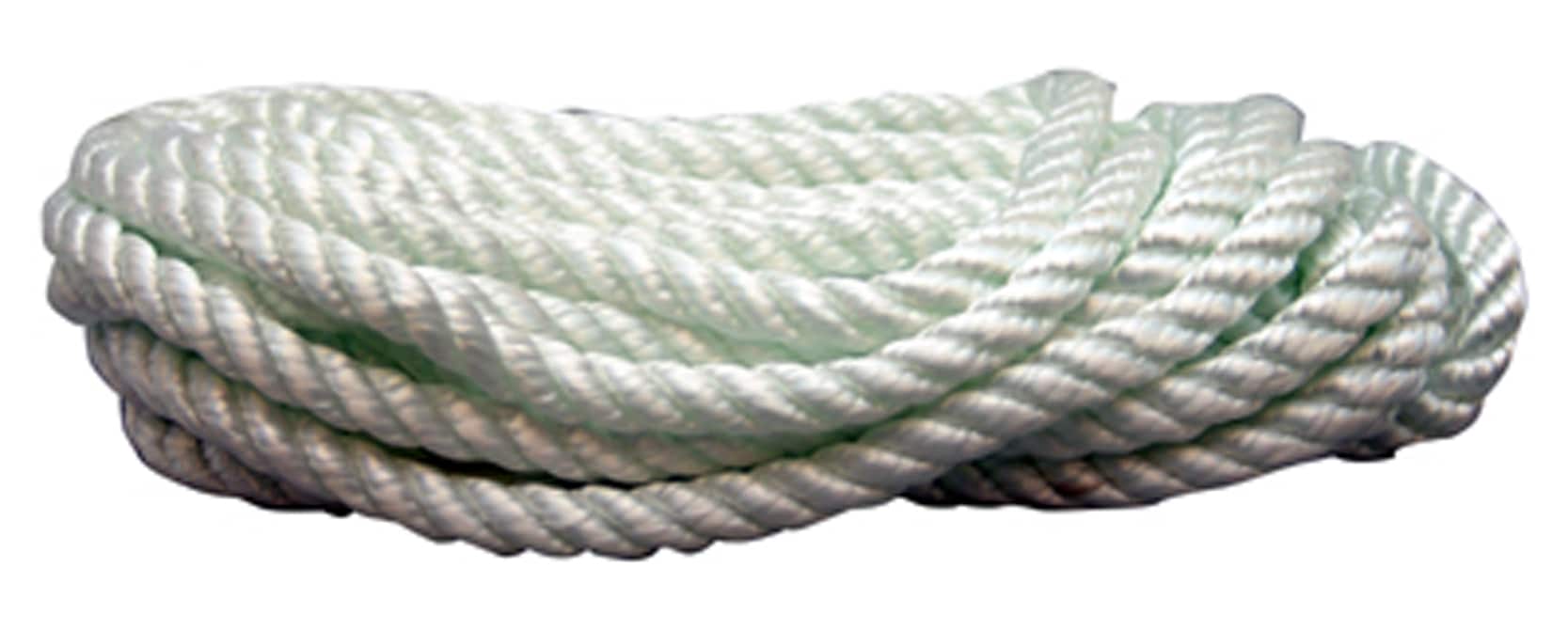 Blue Hawk 0.375-in x 25-ft Twisted Nylon Rope at