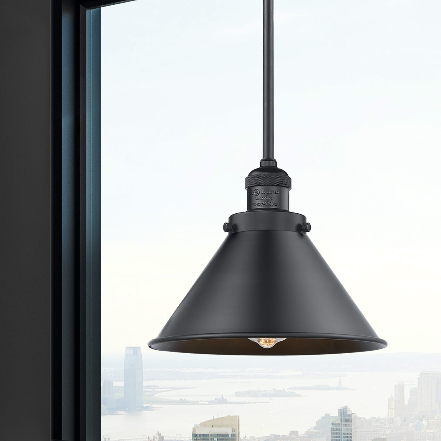Innovations Lighting 201S-BK-M10-BK-LED Pendant-Lights - View #2