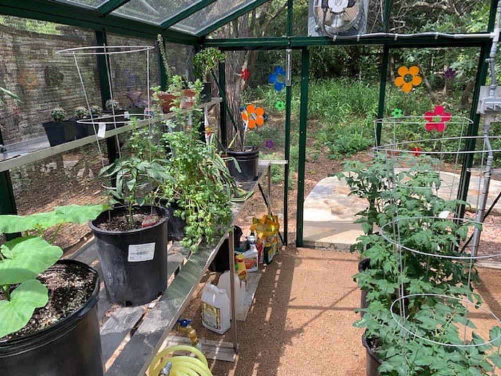 Janssens VI 34 GG greenhouses - View #3