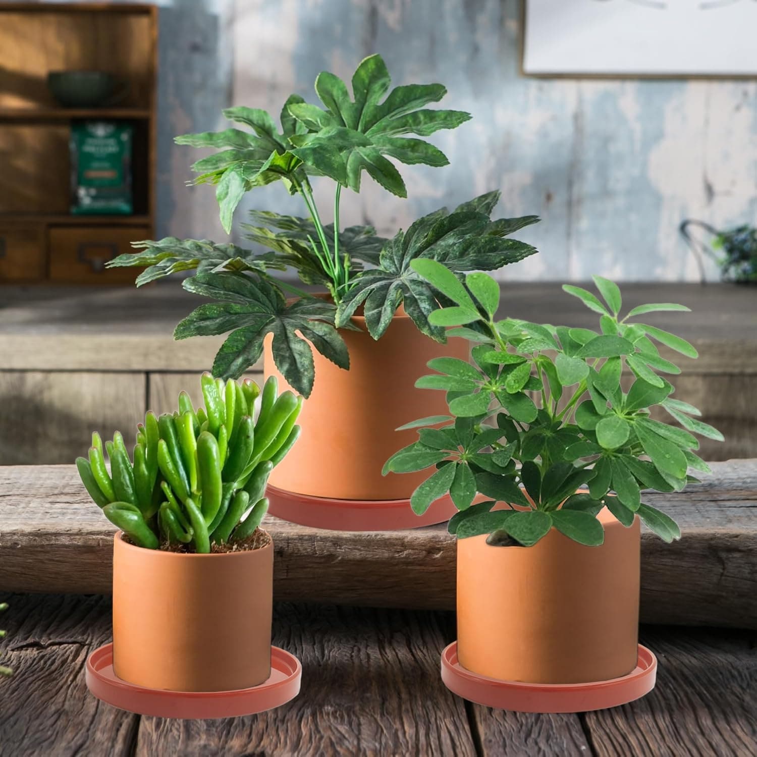 Justincity LJT0519J058 Planter-Window-Box - View #6
