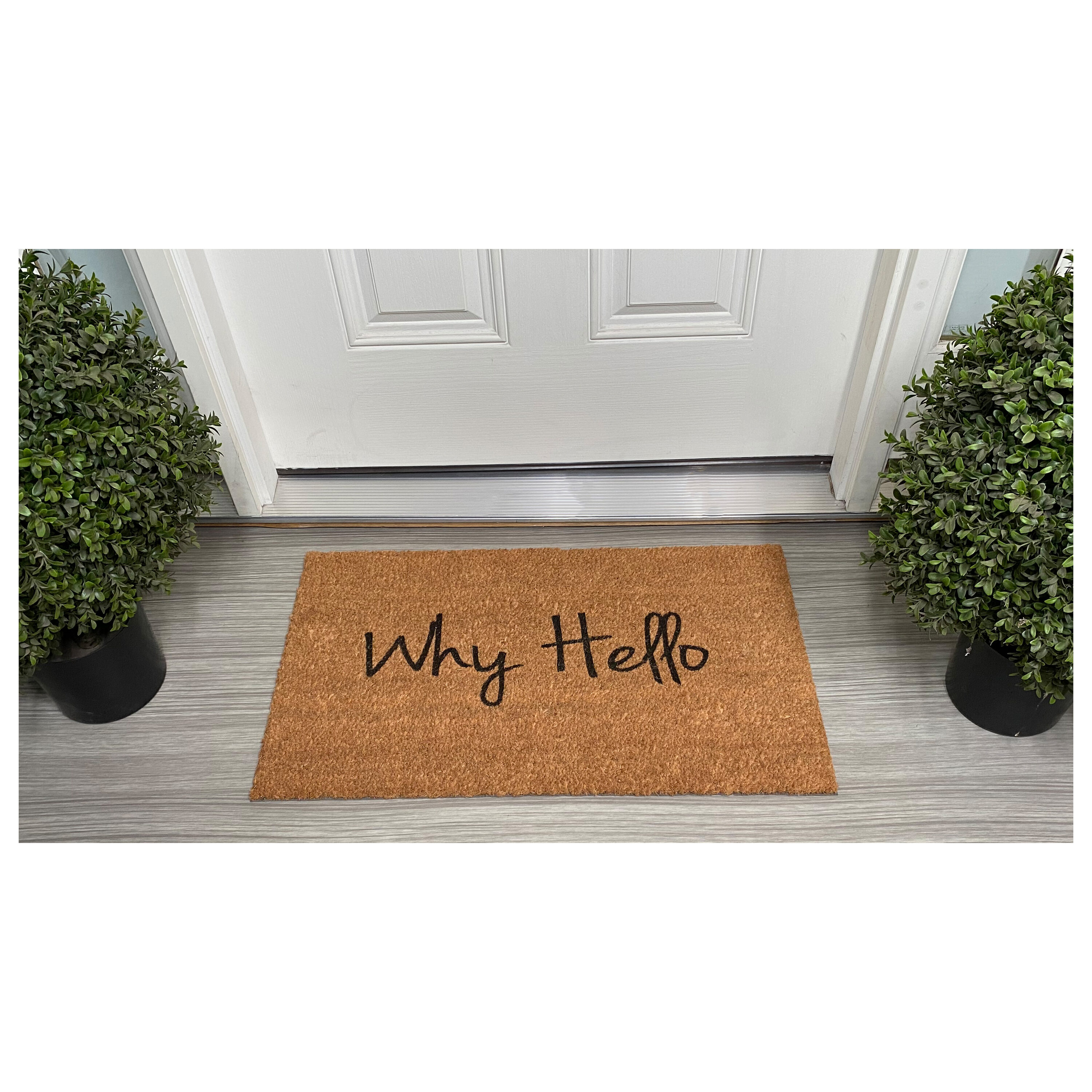 Why Hello Natural Coir Outdoor Doormat 30" x 48"