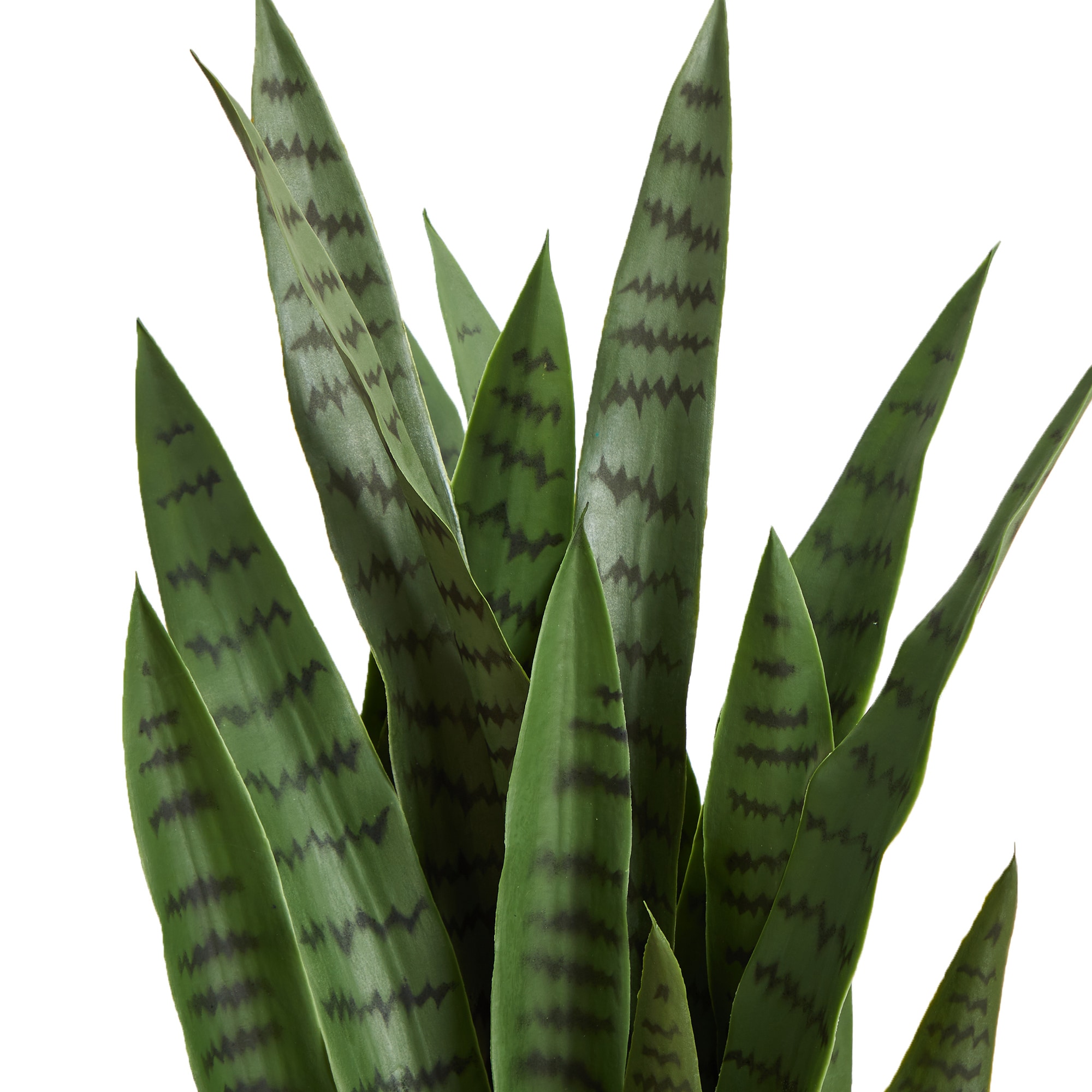 38" Green Plastic Sansevieria Faux Potted Plant