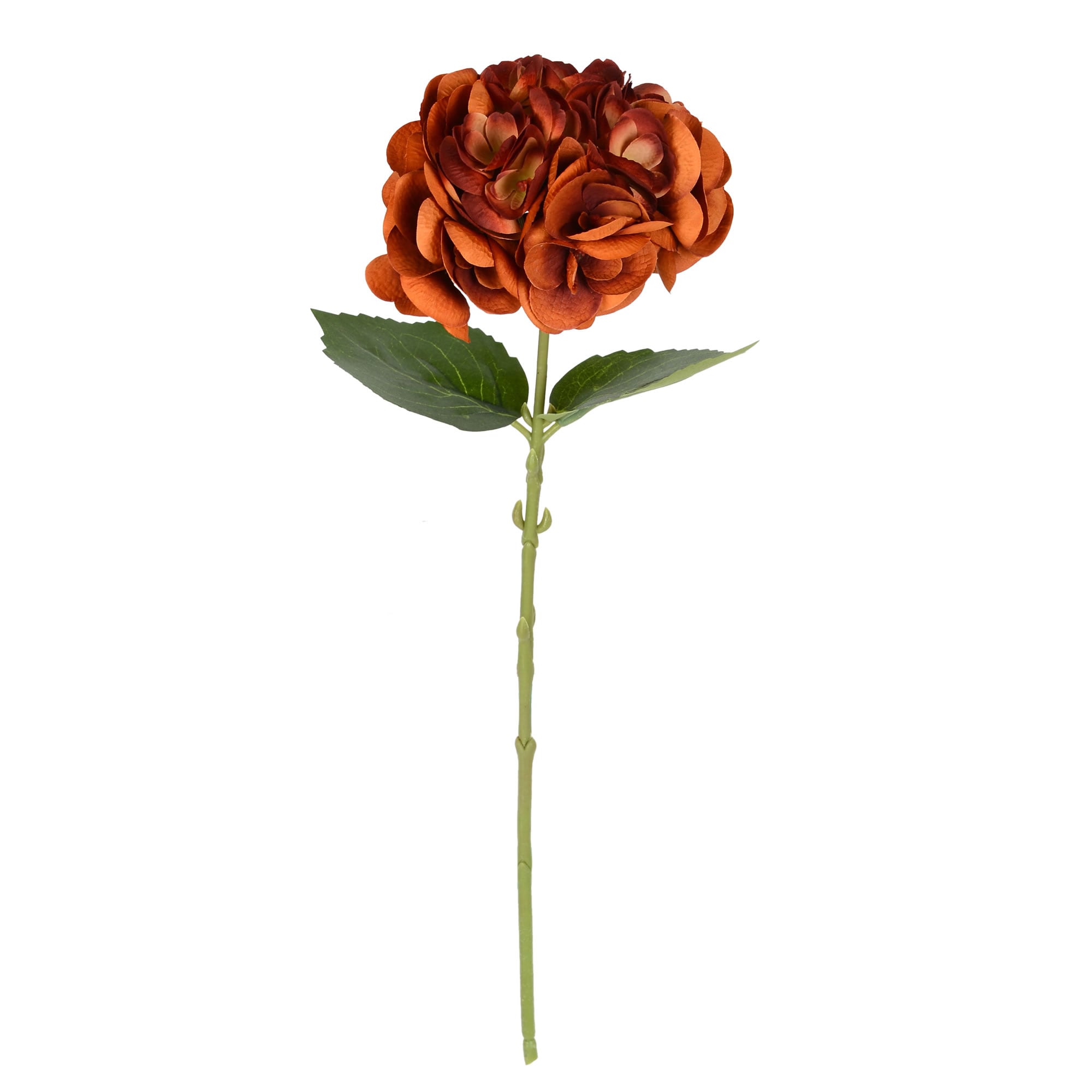 Vickerman FD180176 6.5-in Coffee Indoor Hydrangea Artificial Flower