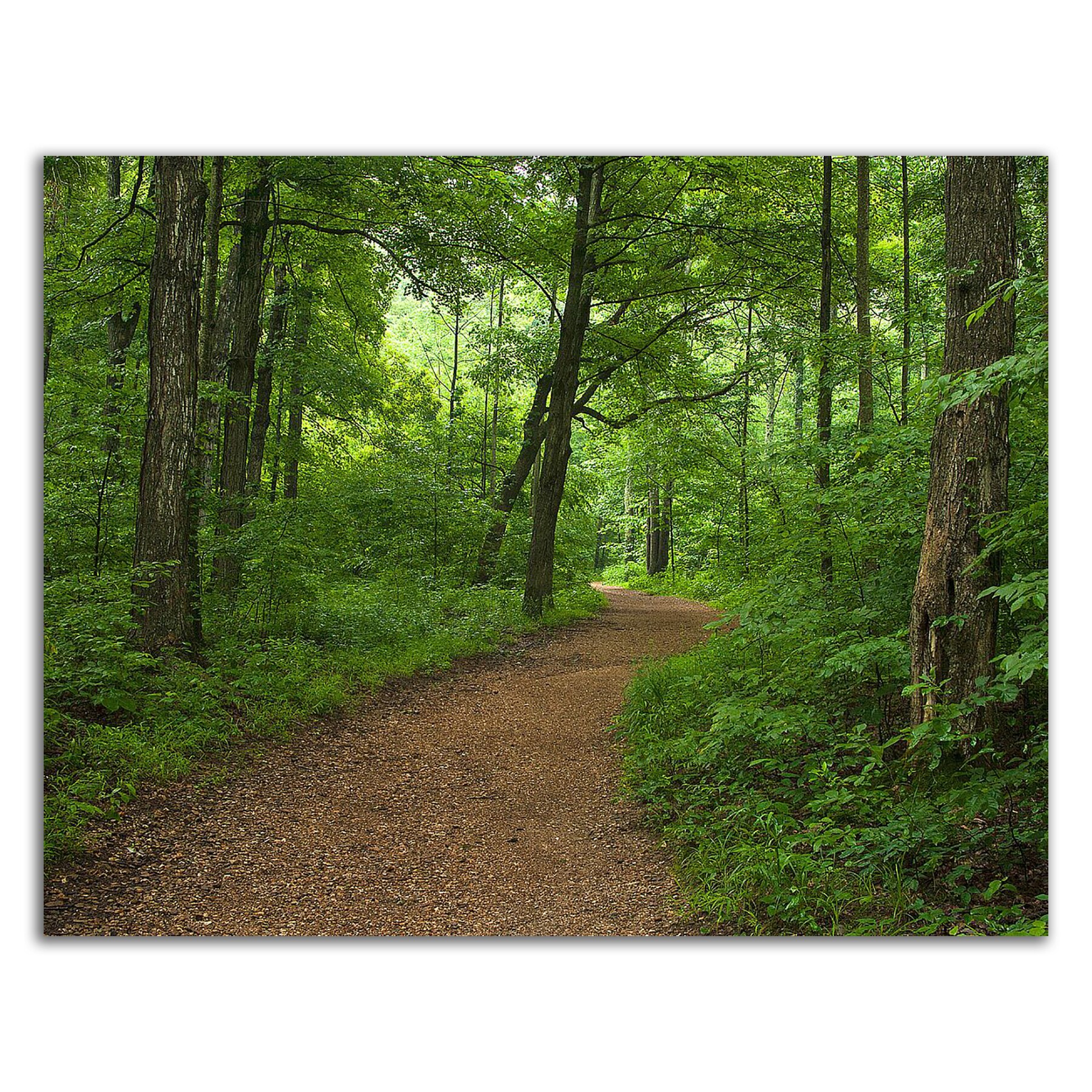 Tangletown Fine Art 8H1531DC-1814 Wall-Art - View #3