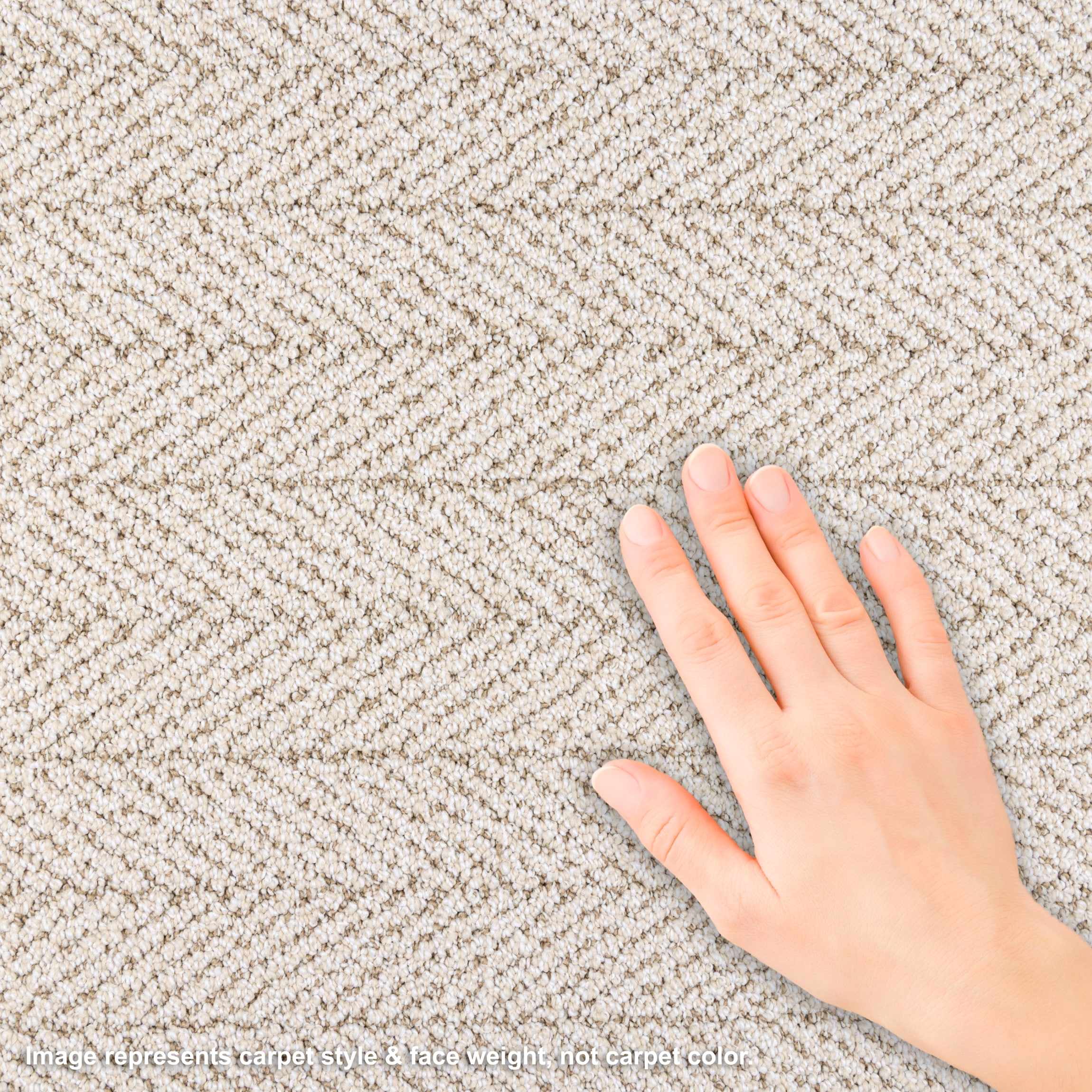 STAINMASTER L5003-3001-1200-AB Carpet-Panel - View #4