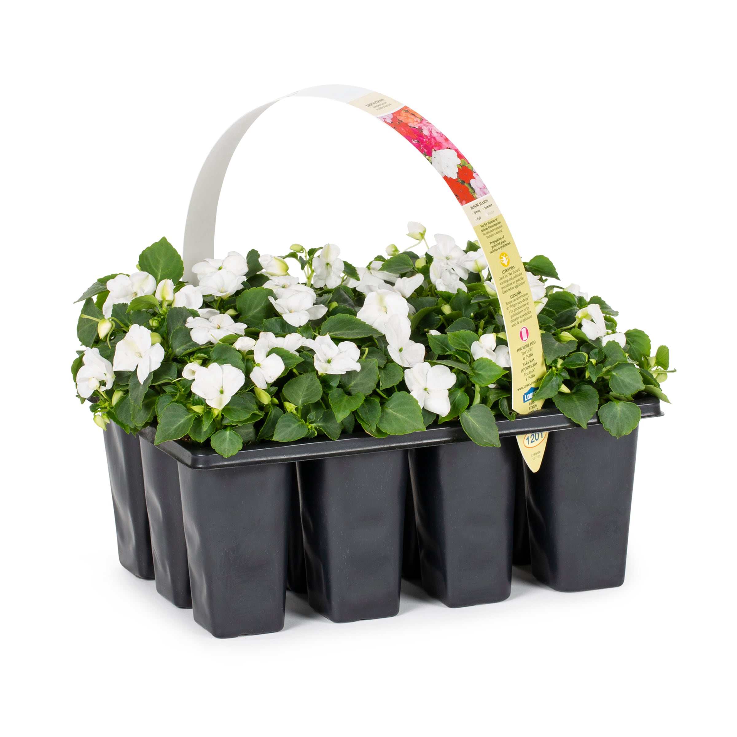 Lowe's Multicolor Impatiens in 12-Pack Tray in the Annuals department at 