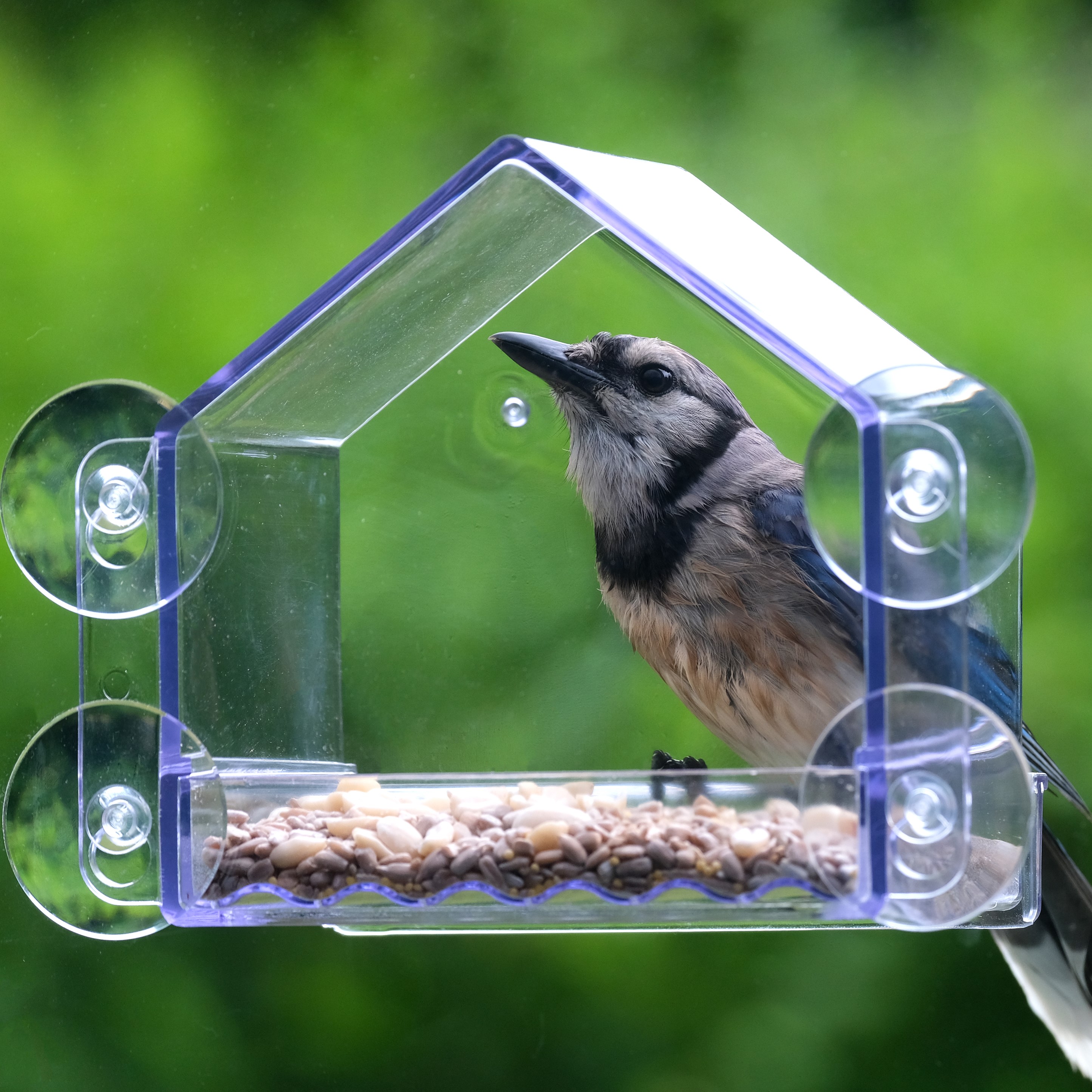 Nature's Way WIN-3-CP1 Bird-Feeders - View #4