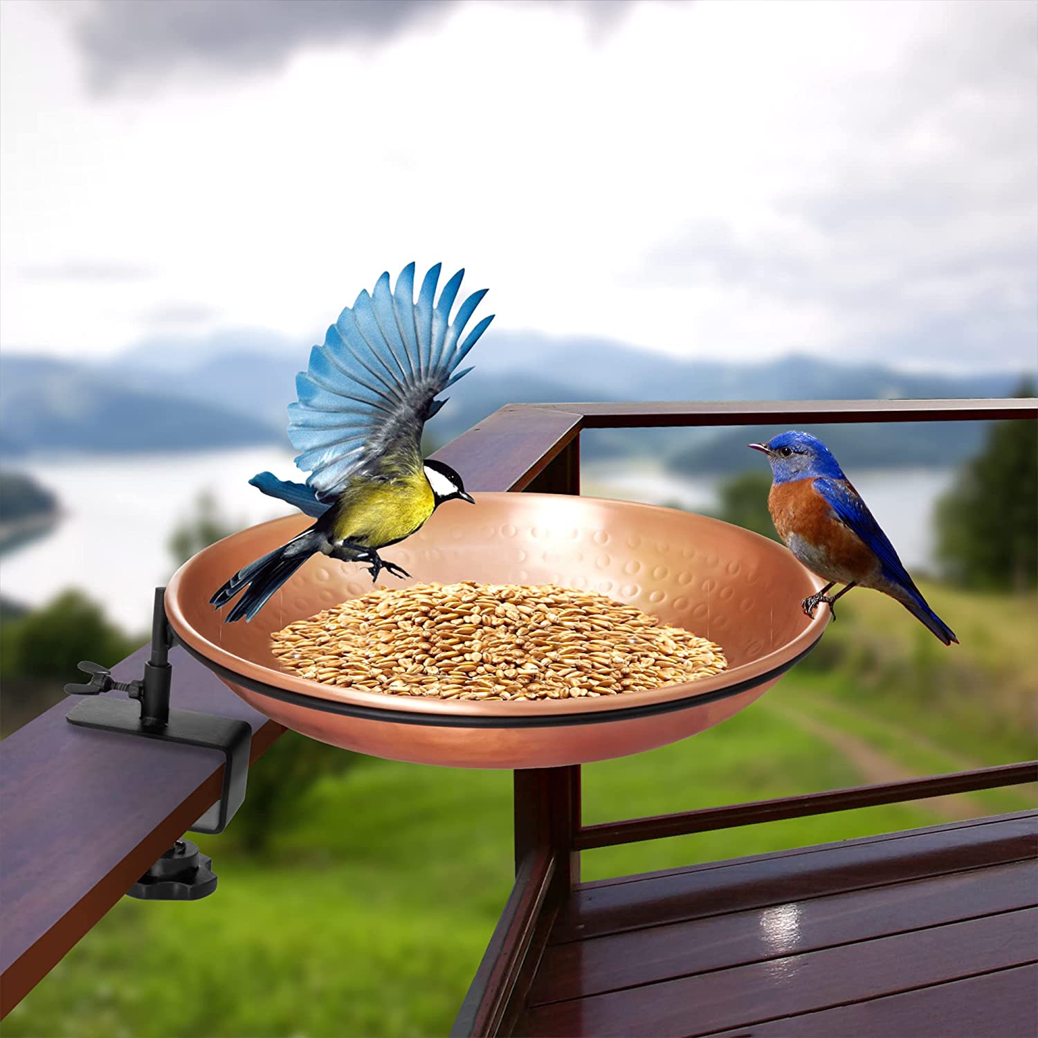 Monarch Abode 17066 birdbaths - View #4